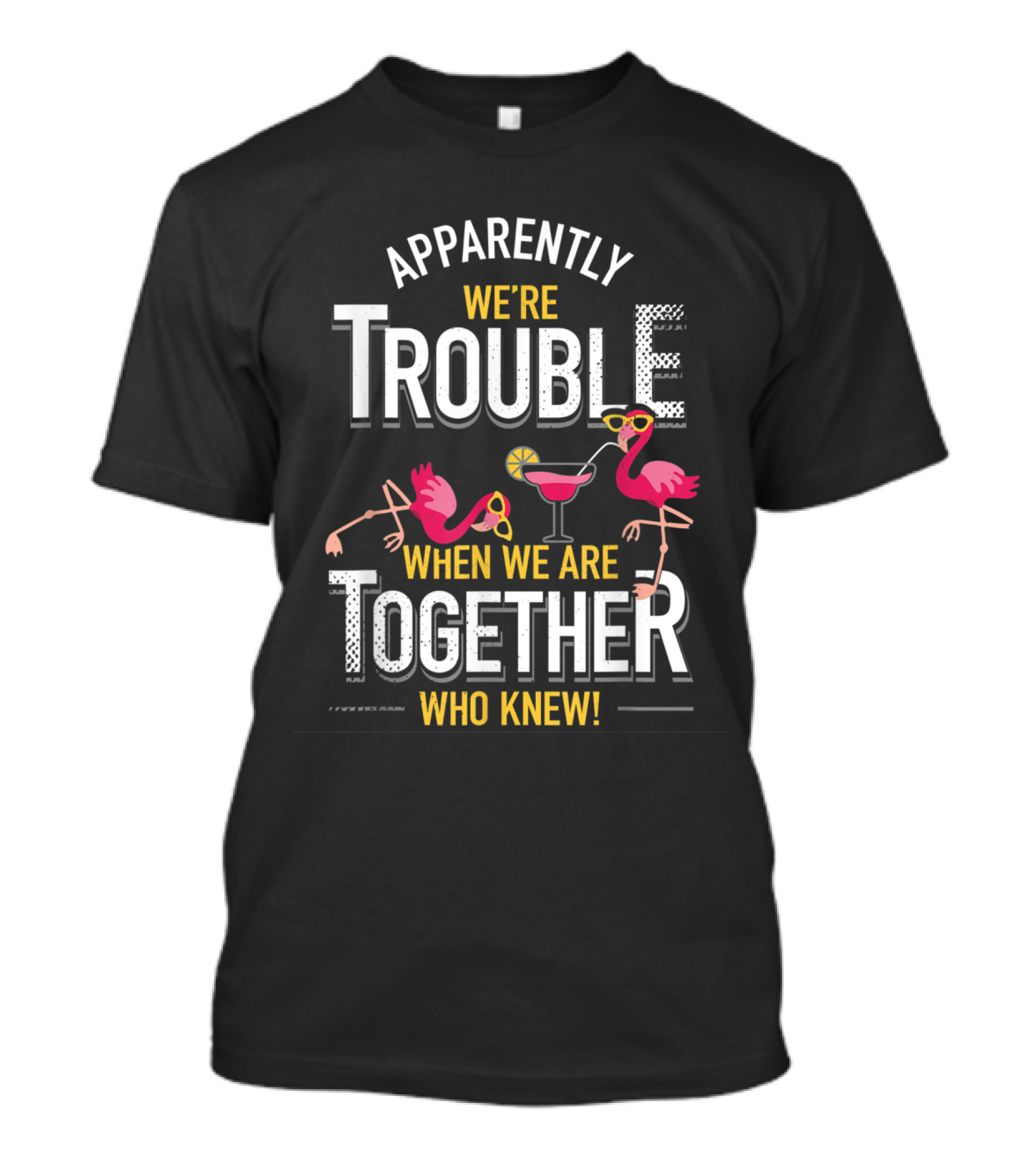 Apparently We're Trouble When We Are Together Who Knew T-Shirt
