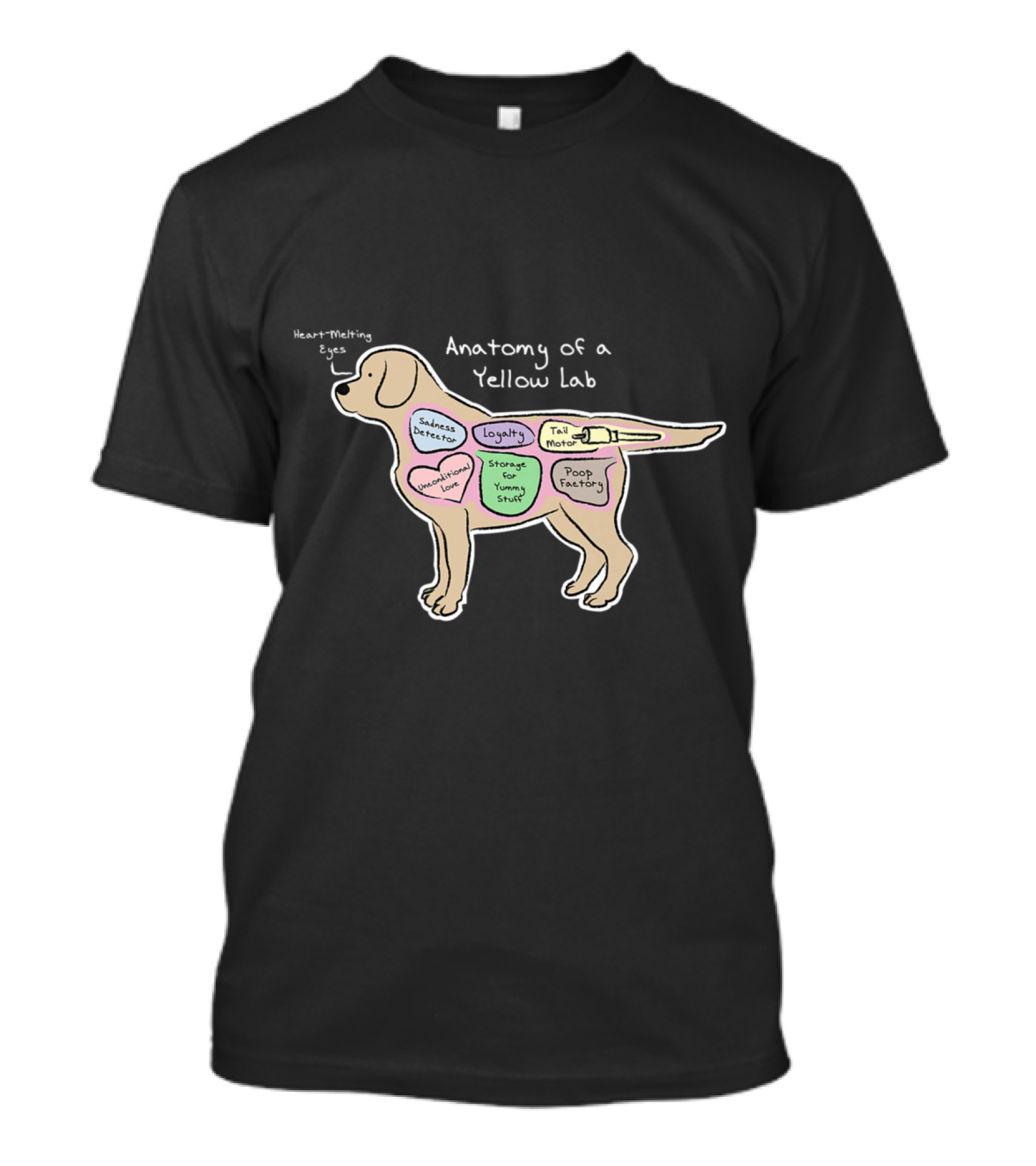 Anatomy Of A Yellow Lab Heart-Melting Eyes Sweetness Generator Tail Motor Poop Factory T-Shirt