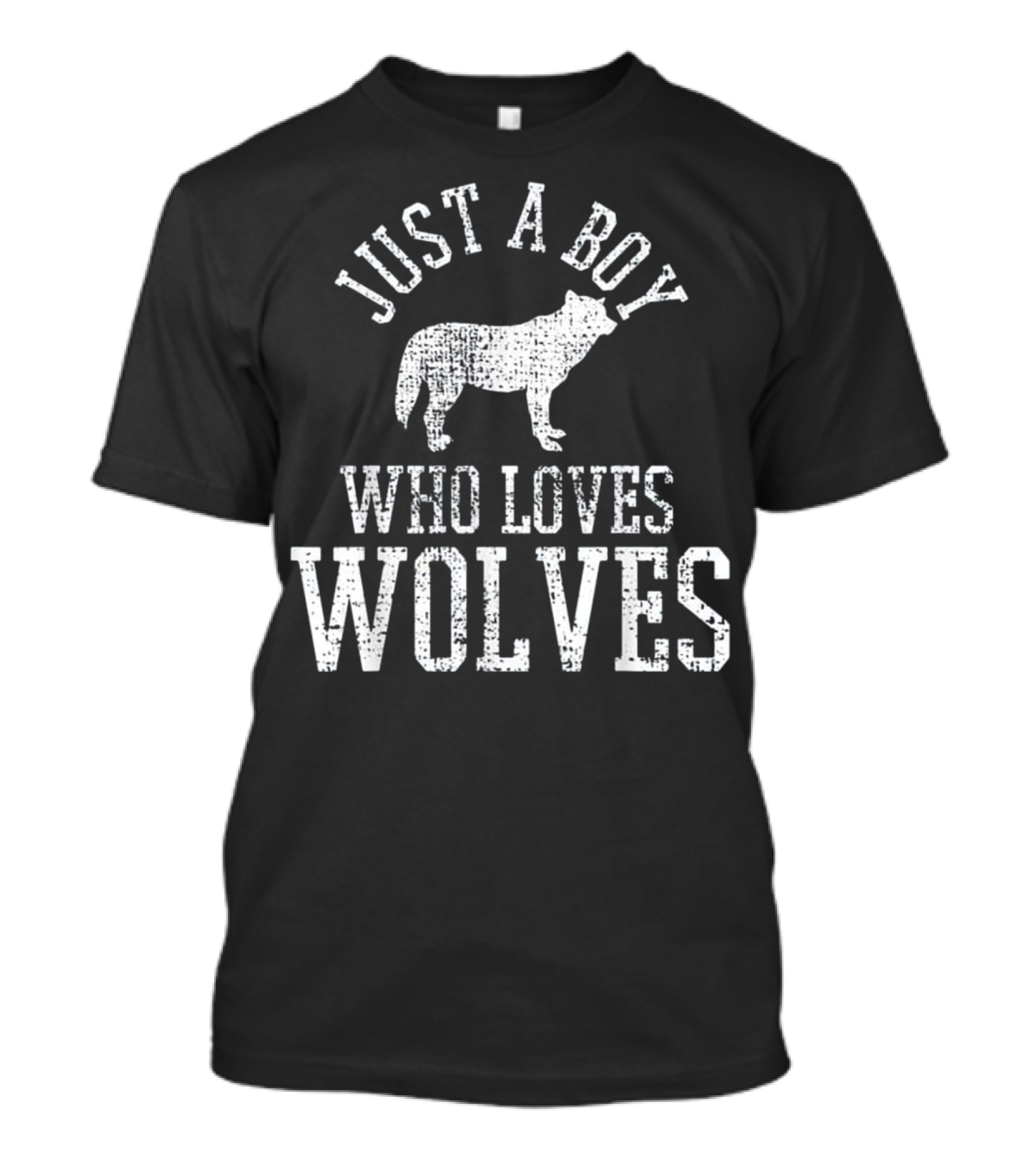 Just A Boy Who Loves Wolves T-Shirt