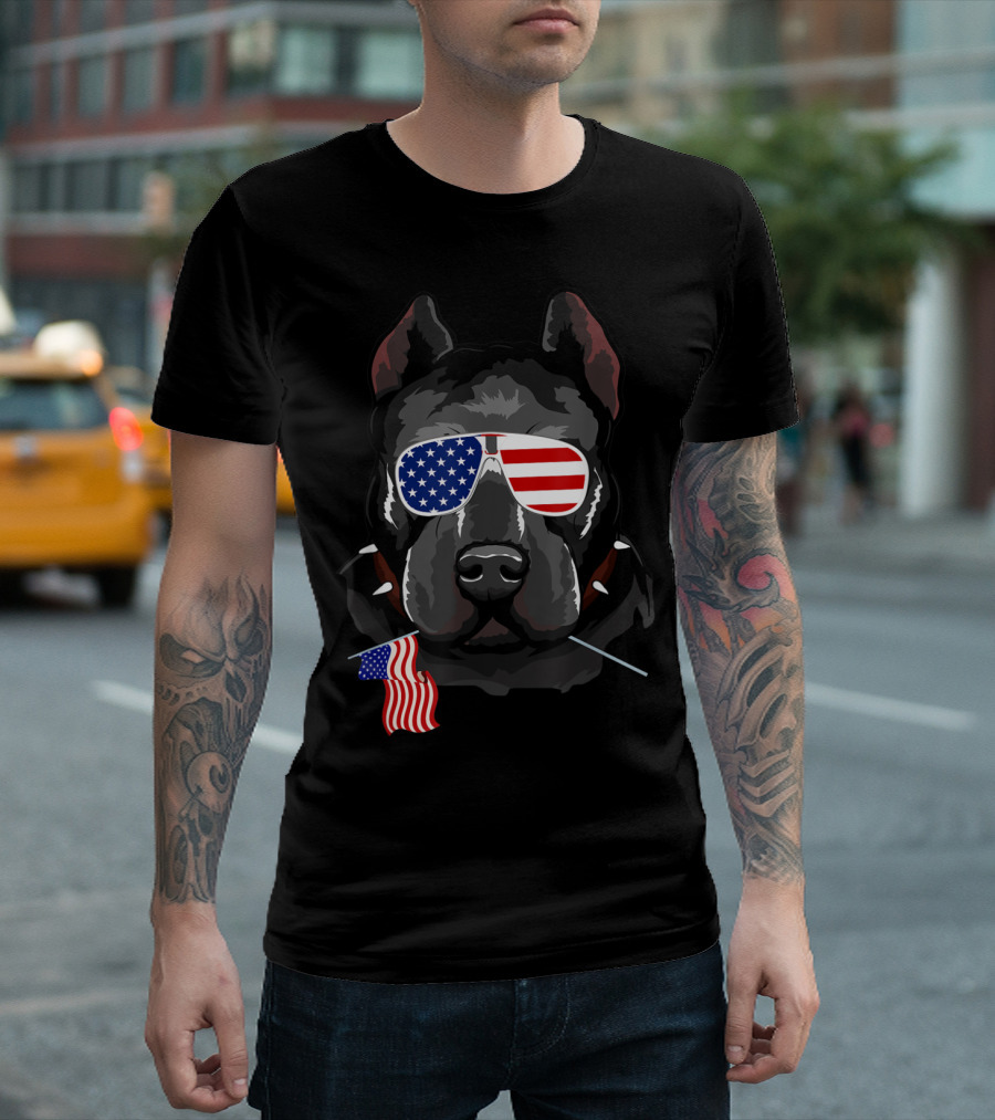 Funny Pitbull American Flag Sunglasses USA T-Shirt