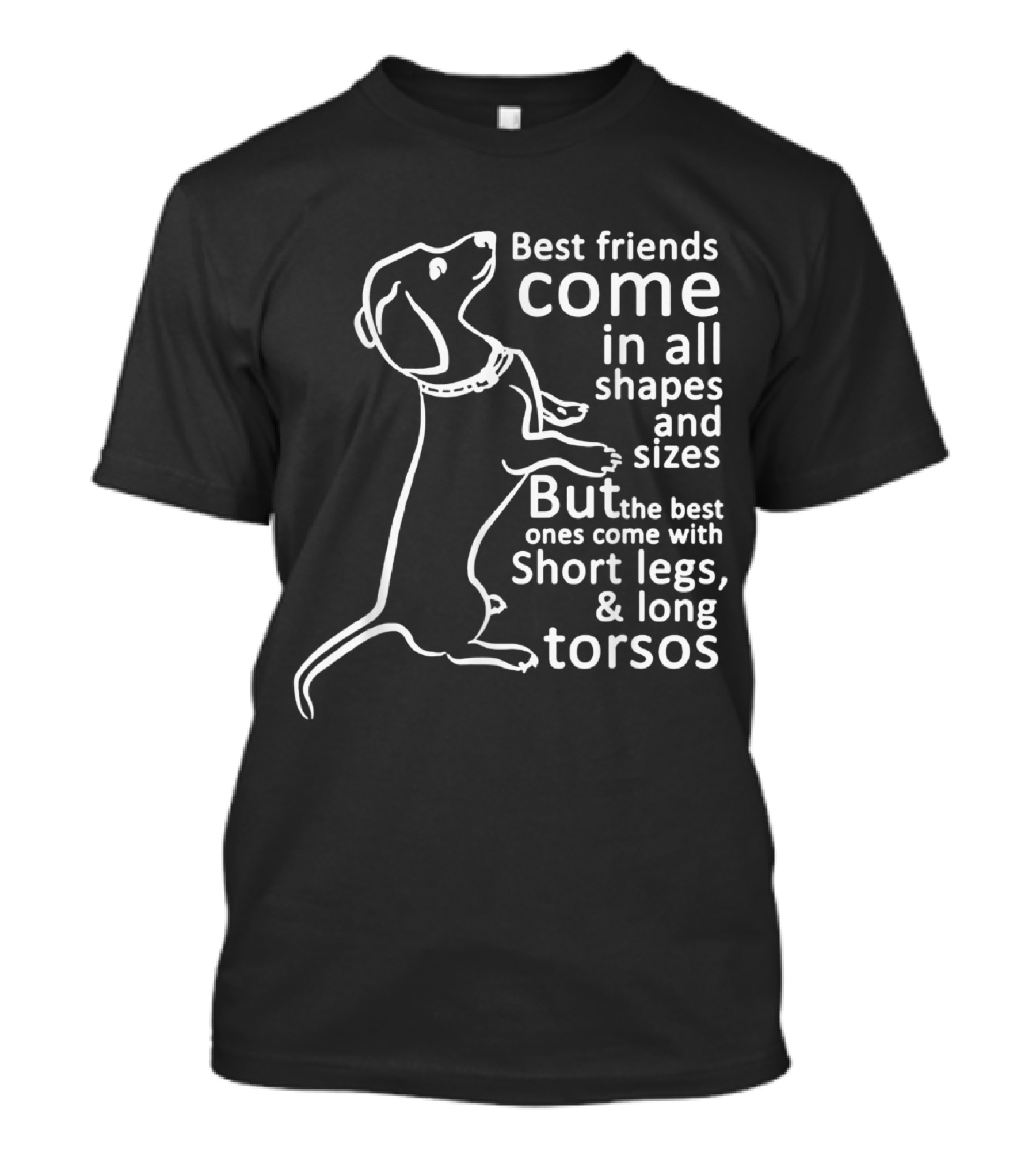 Best Friends Come In All Shapes And Sizes Short Legs Long Torsos Dachshund Dachshund Best T-Shirt