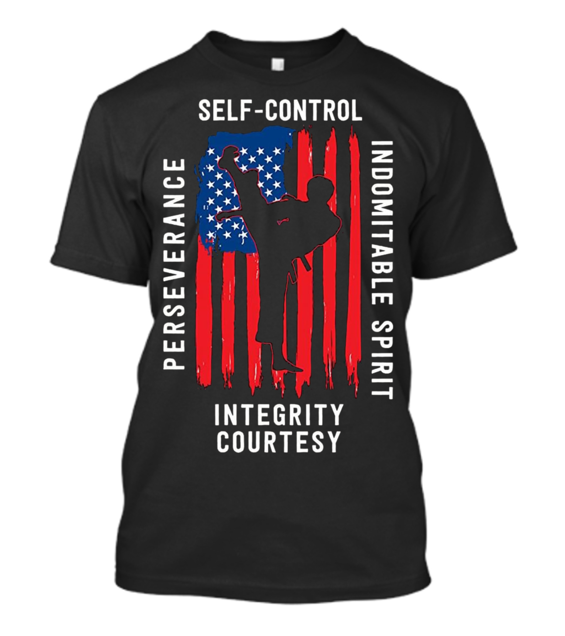Taekwondo 5 Tenets Perseverance Self-Control Indomitable Spirit Integrity Courtesy USA Martial Arts T-Shirt
