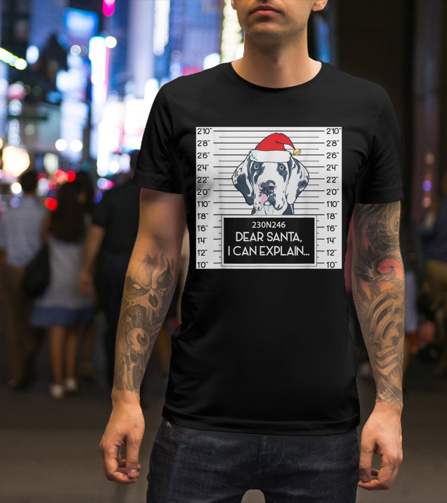Great Dane In Santa Hat Mugshot Dear Santa I Can Explain T-Shirt