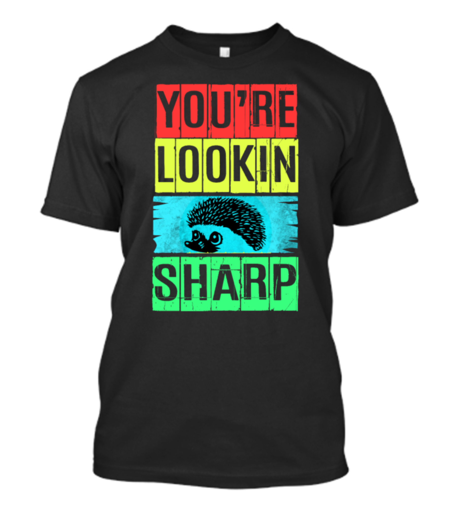 Hedgehog You're Lookin Sharp Retro 70s Vintage Animal Lover M8 T-Shirt