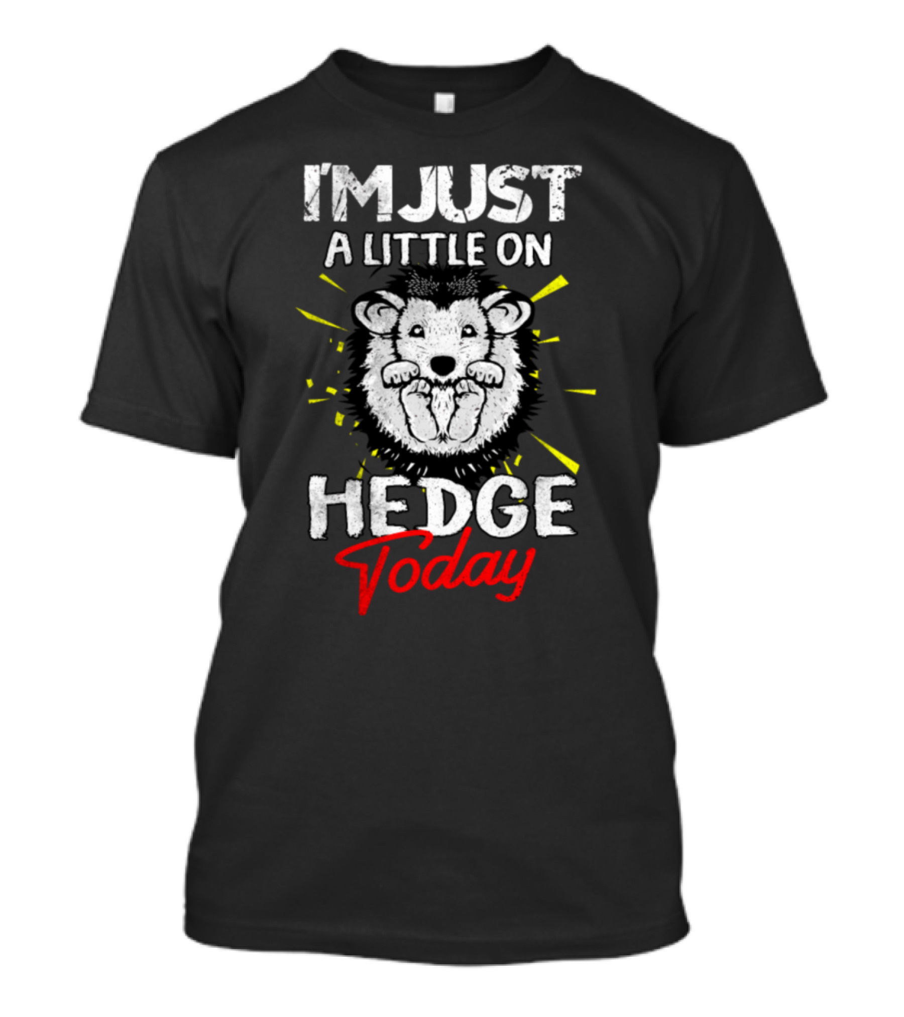 I'm Just A Little On Hedgehog Today T-Shirt