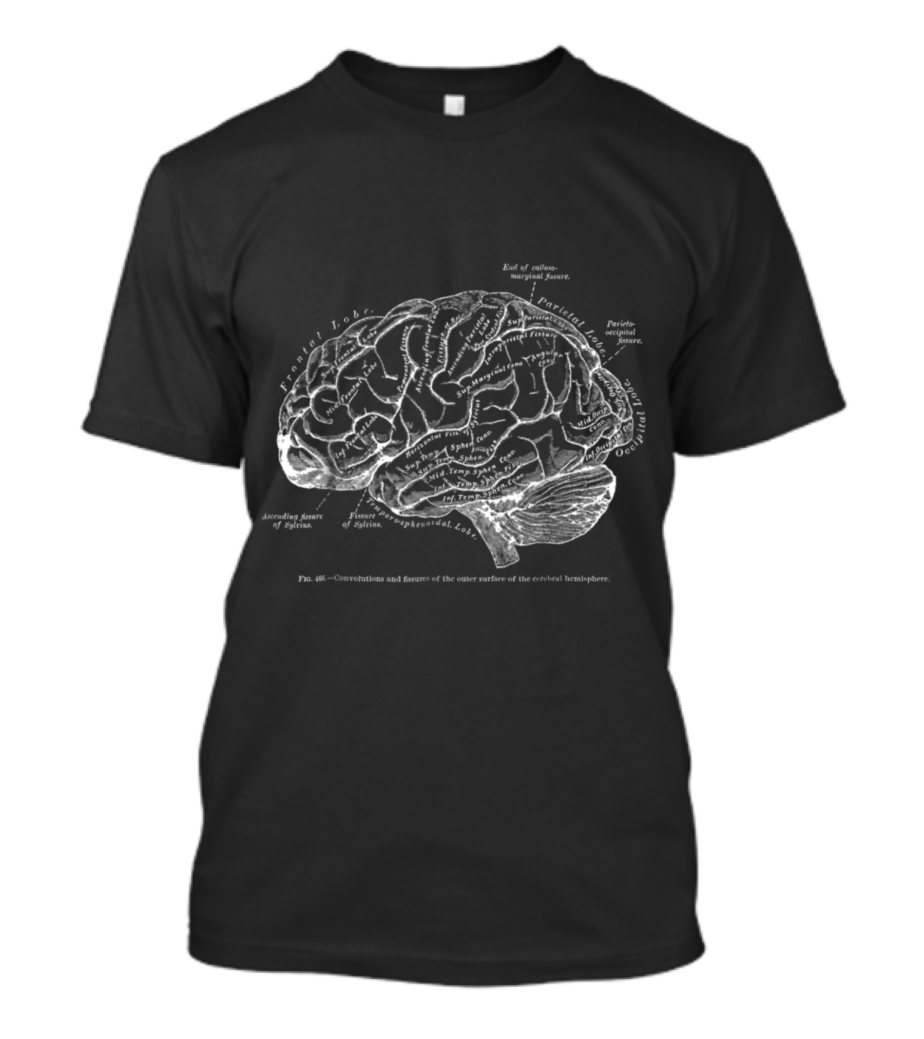 Vintage Human Anatomy Brain Diagram With Cerebral Hemisphere Labels T-Shirt