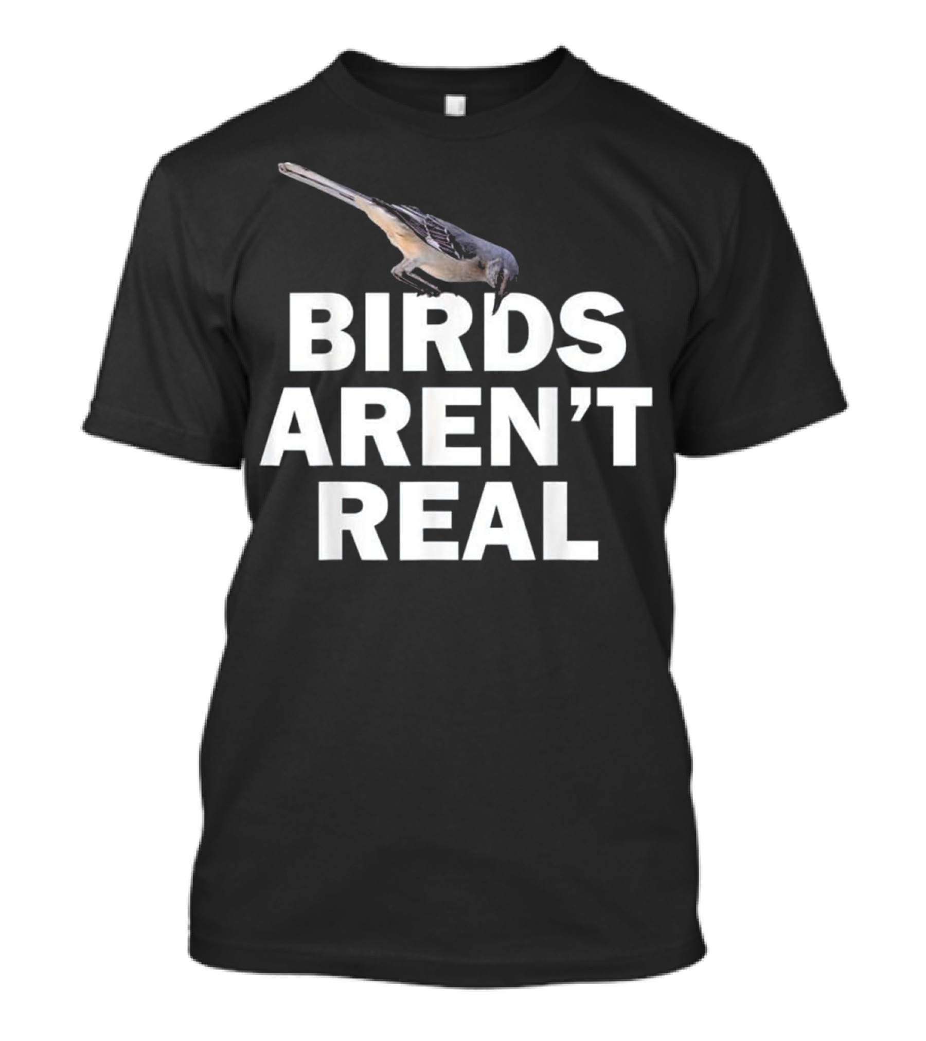 Birds Aren't Real Government Conspiracy T-Shirt