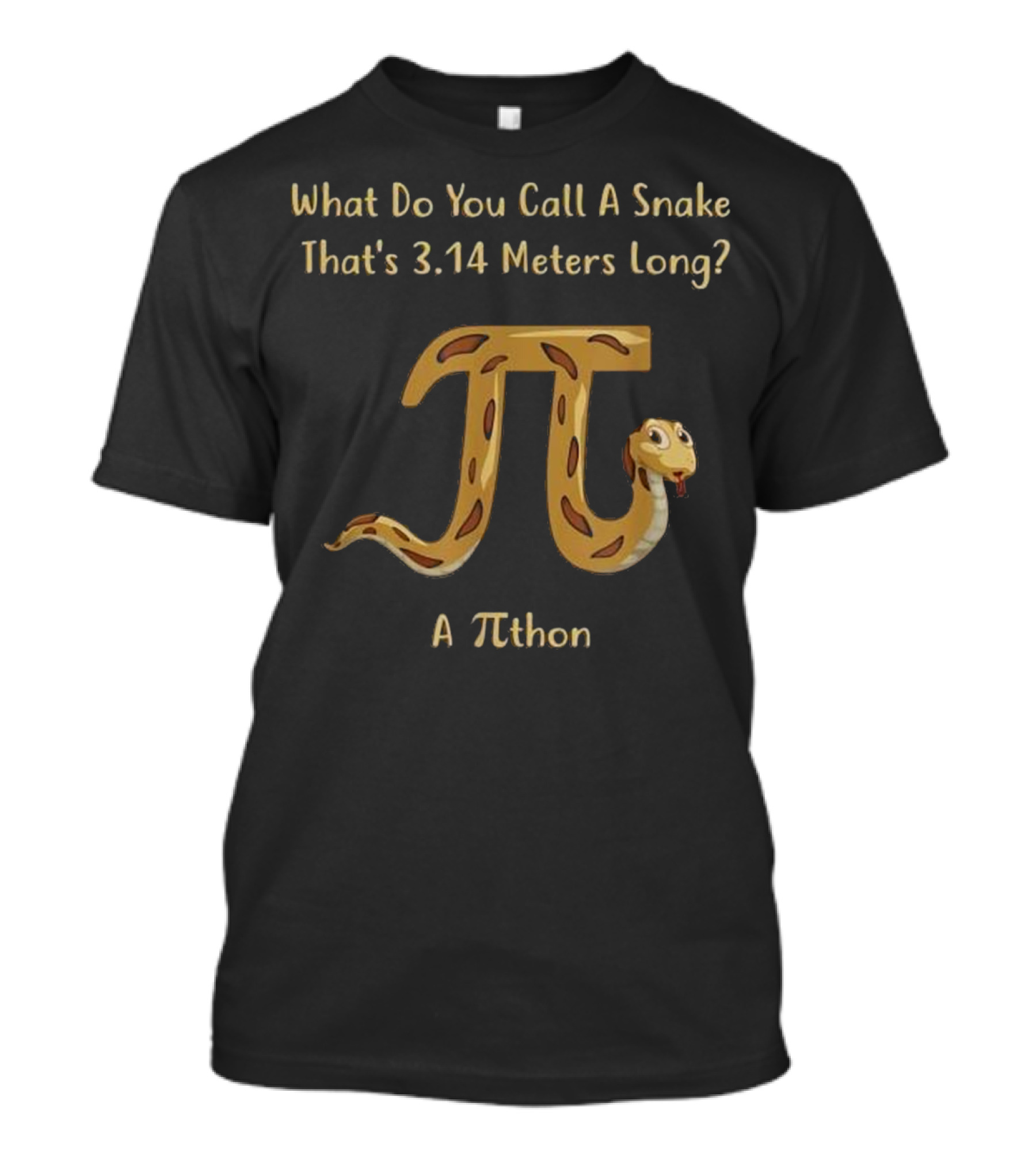 What Do You Call A Snake That's 3.14 Meters Long? A πthon T-Shirt