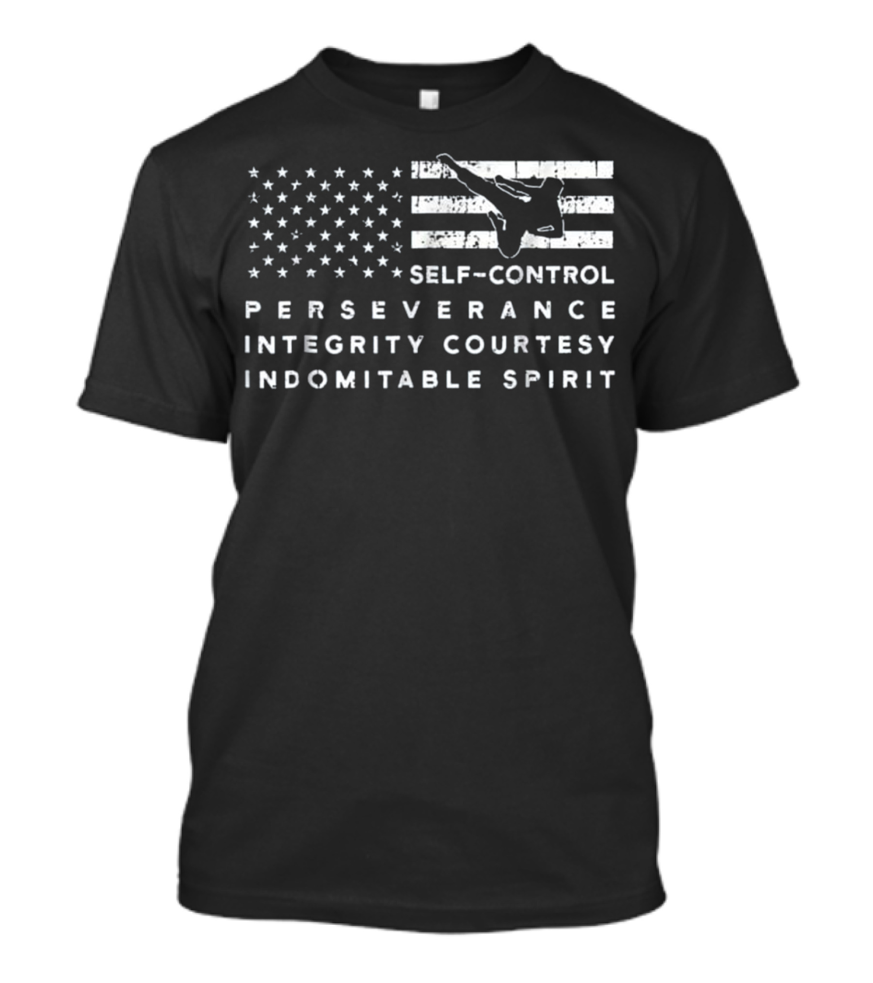 Proud American Flag Taekwondo Self-Control Perseverance Integrity Courtesy Indomitable Spirit T-Shirt