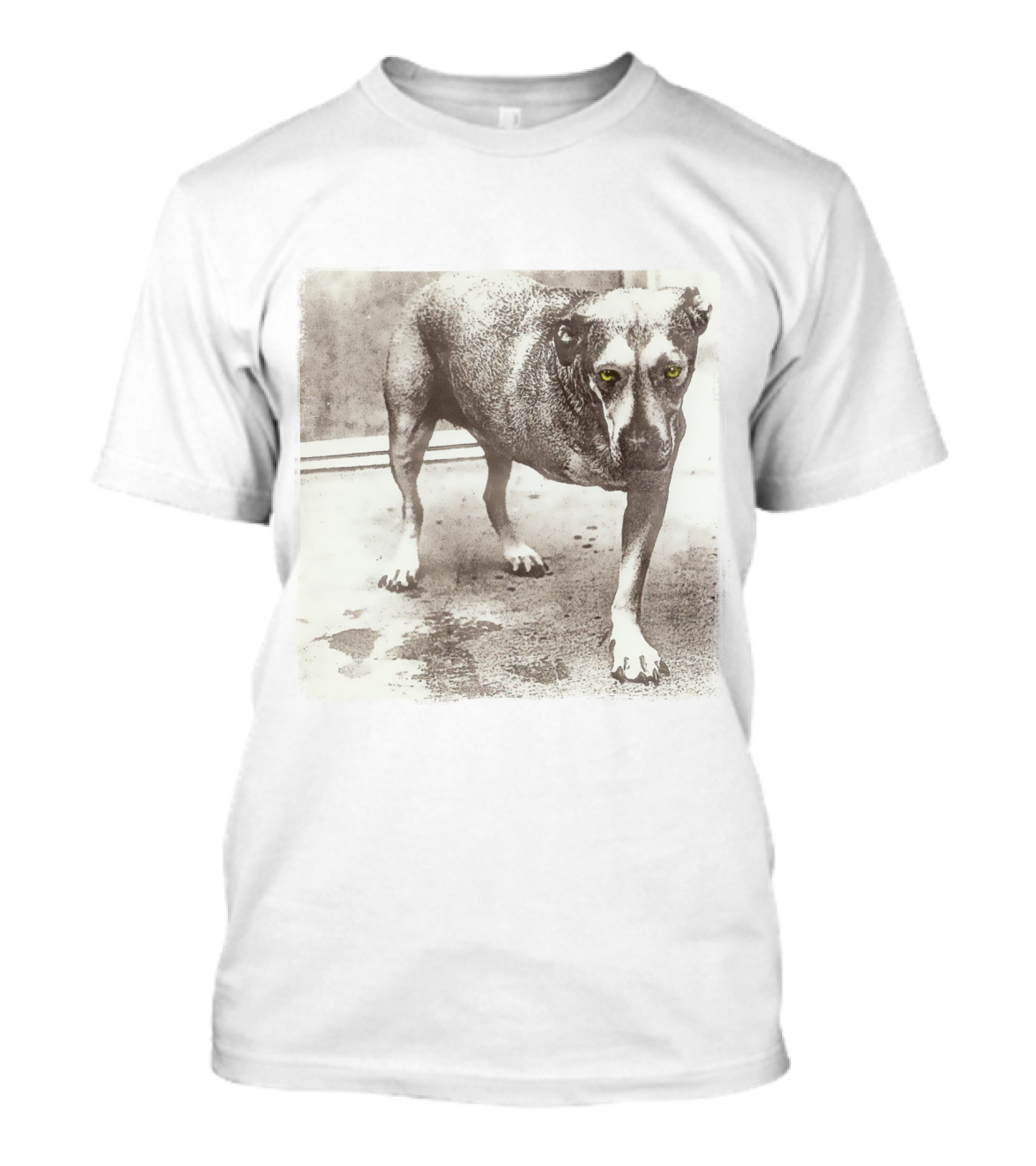 Dog With Yellow Eyes Aic T-Shirt