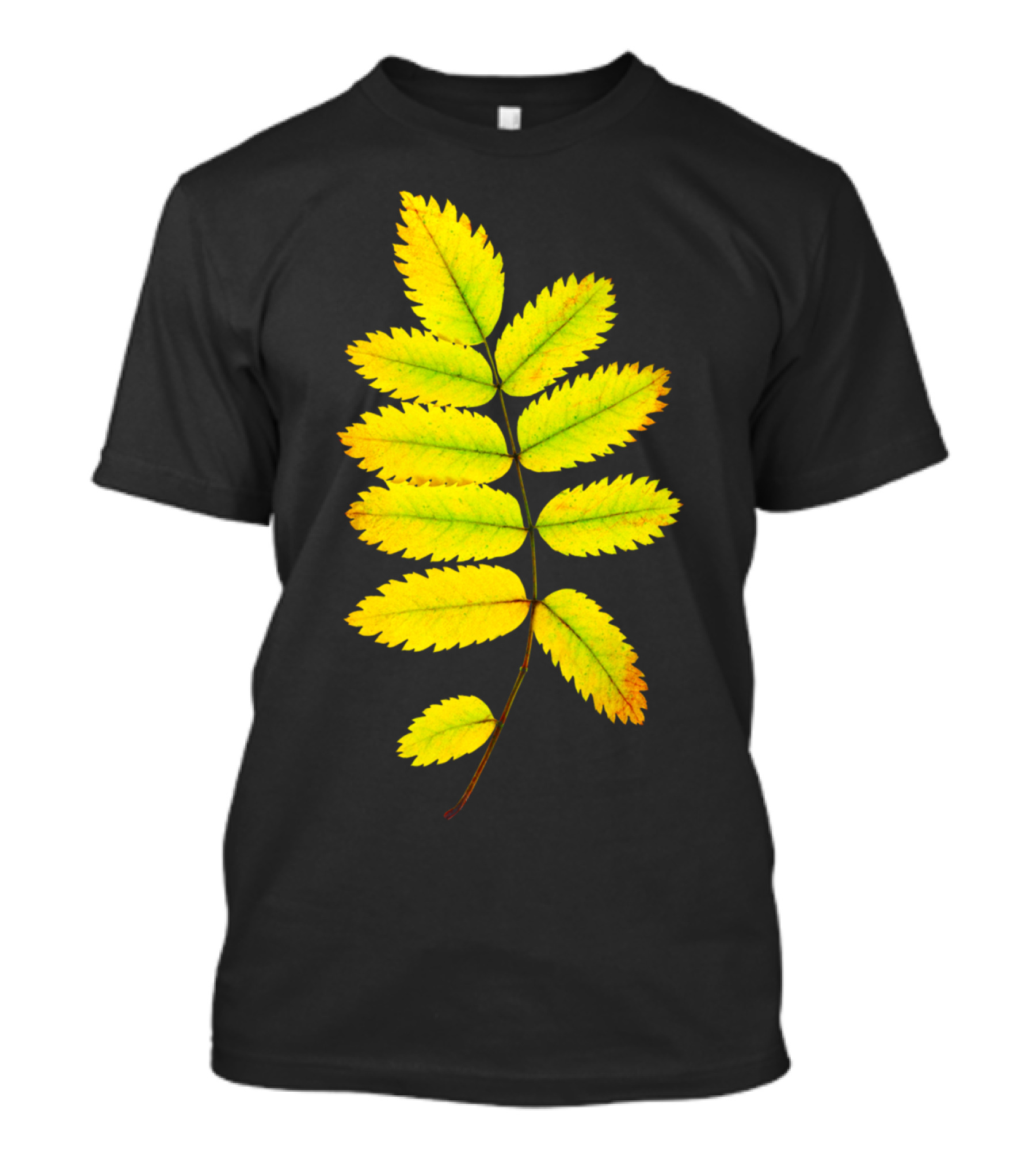 Rowan Tree Autumn Leaf Seasonal Transformation T-Shirt