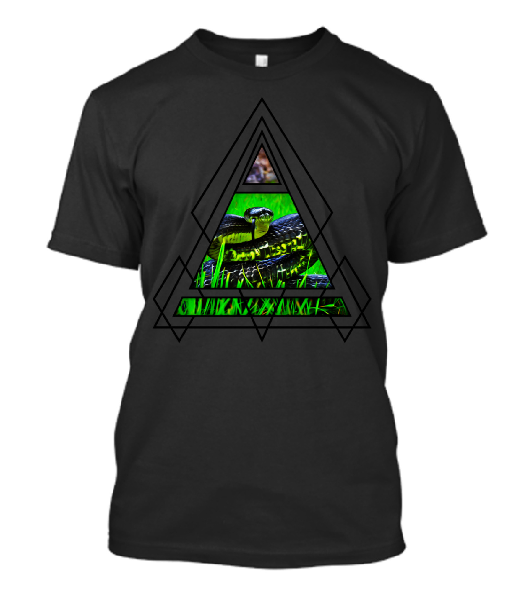 Snake In Geometric Triangle T-Shirt