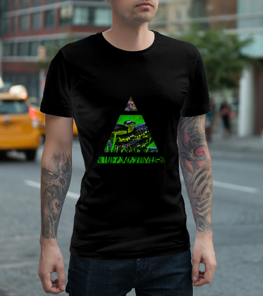 Snake In Geometric Triangle T-Shirt