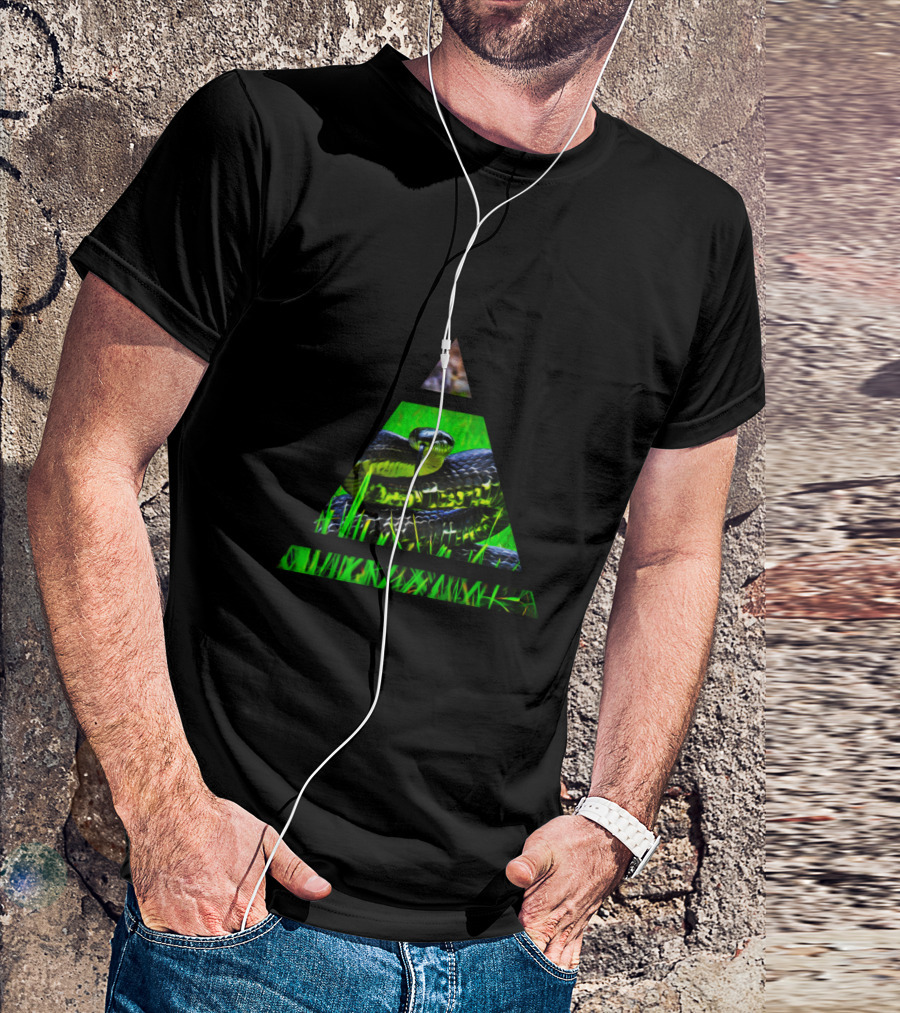 Snake In Geometric Triangle T-Shirt