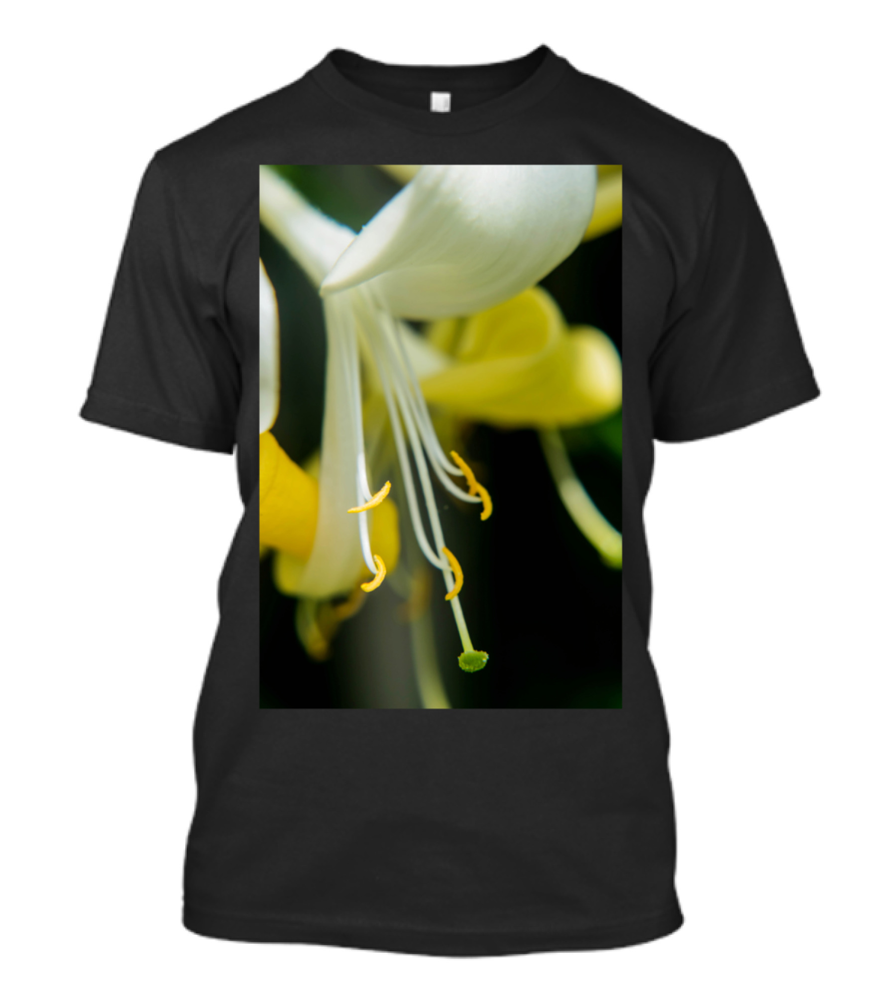 Close Up Art Prin Honeysuckle Blossom T-Shirt