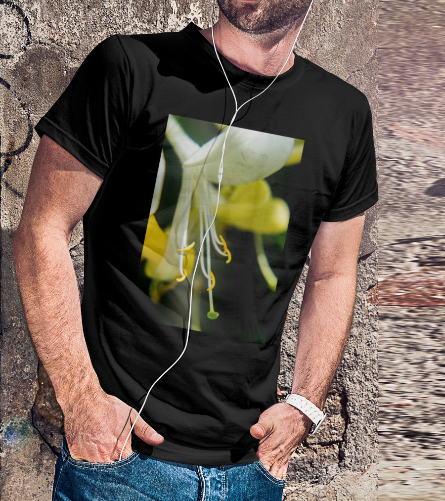Close Up Art Prin Honeysuckle Blossom T-Shirt