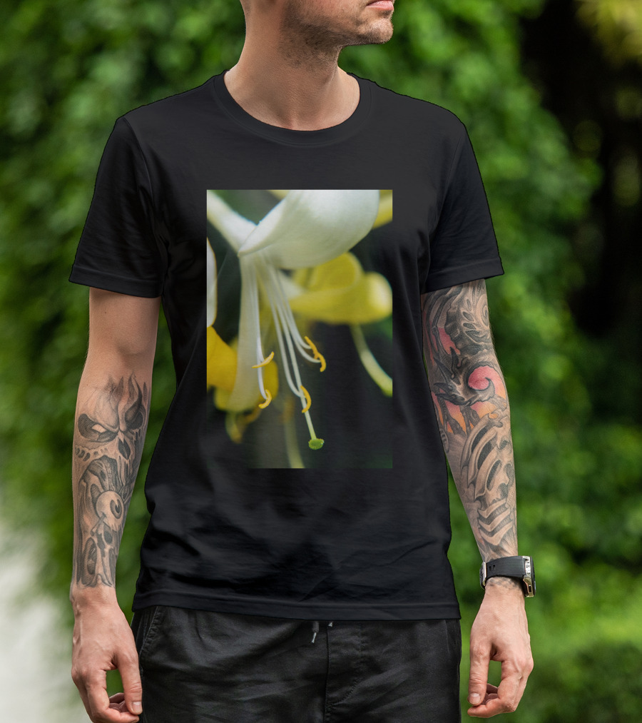 Close Up Art Prin Honeysuckle Blossom T-Shirt