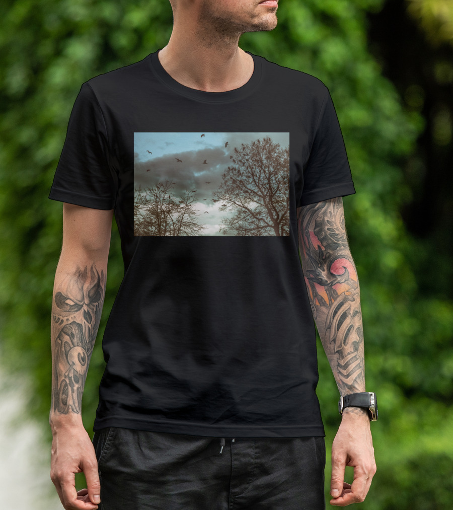 Birds Art Print Tree Silhouettes And Cloudy Sky Scene T-Shirt