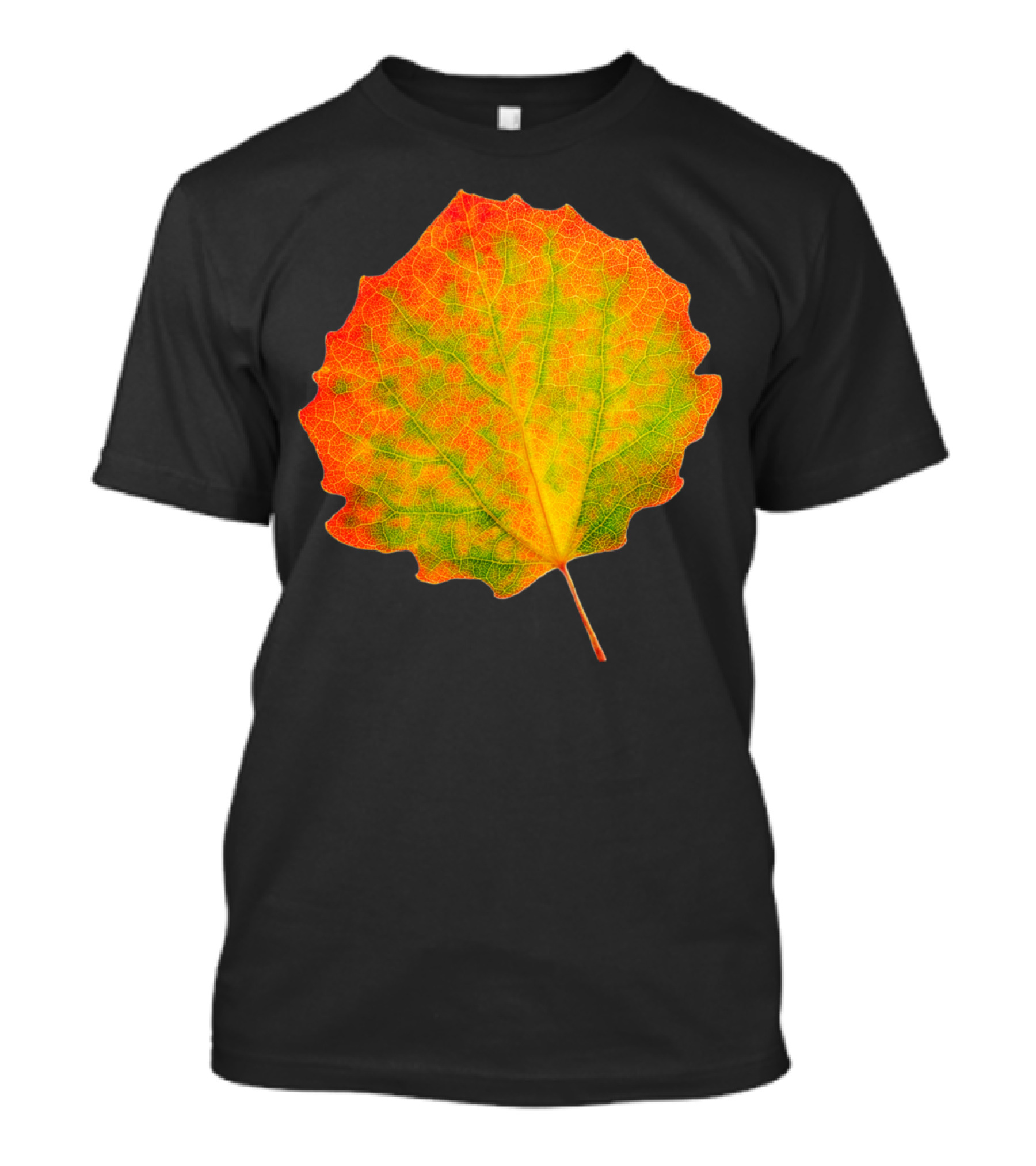 Colorful Aspen Leaf Autumn Vibes T-Shirt