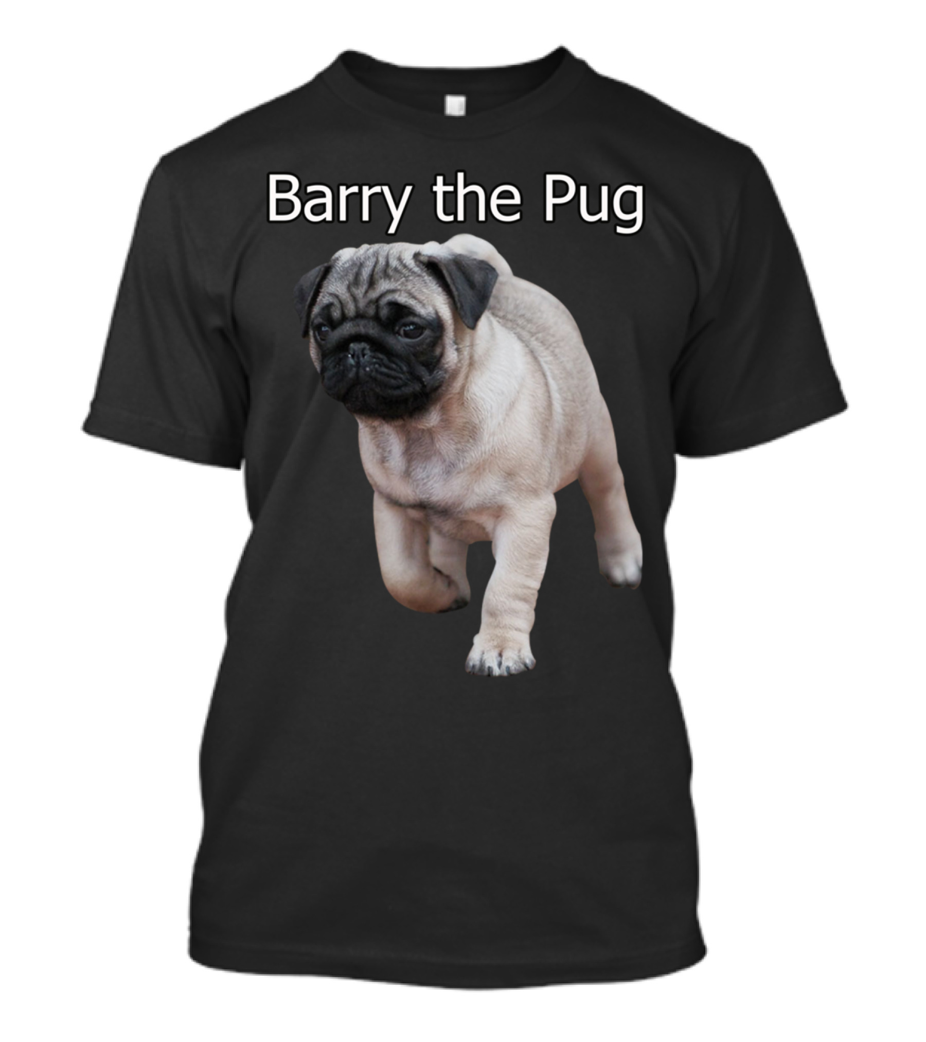 Barry The Pug Playful Puppy Charm T-Shirt