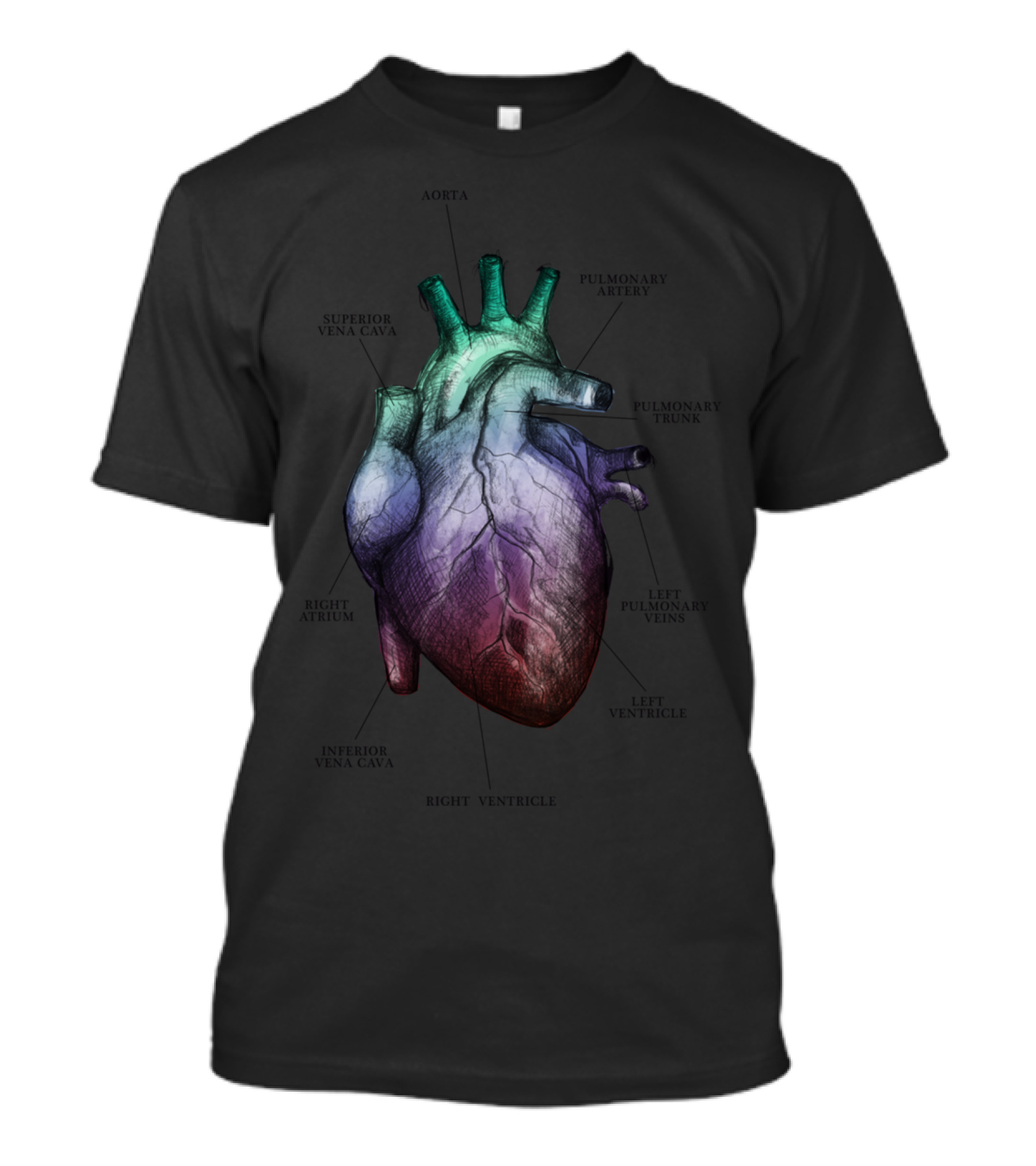 Anatomical Heart Illustration Aorta Pulmonary Artery Vena Cava Ventricle Atrium T-Shirt
