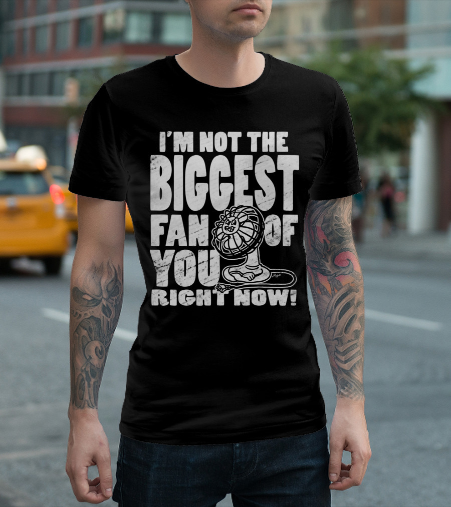 I'm Not the Biggest Fan of You Right Now T-Shirt