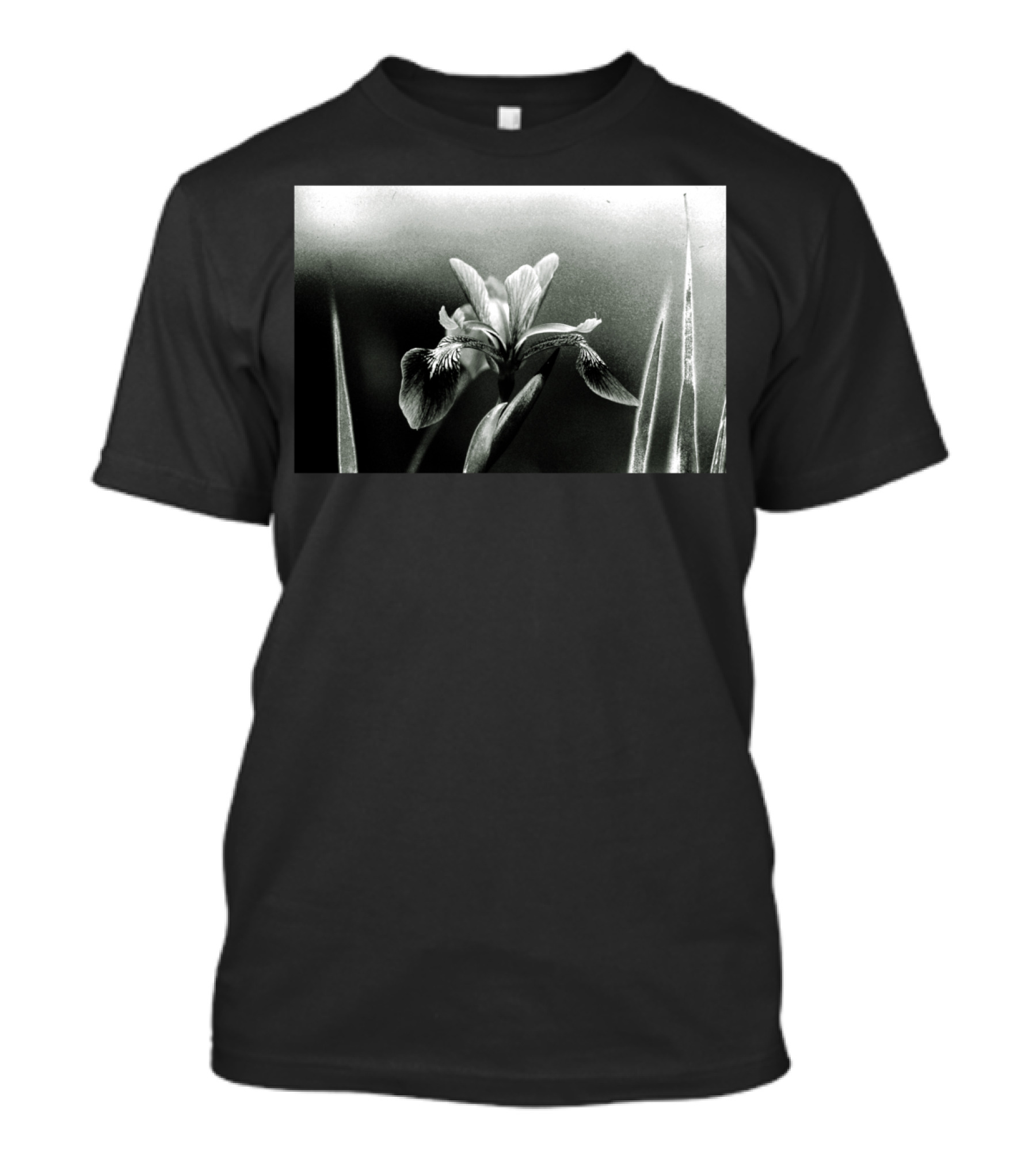 The Blue Flag Iris In Monochrome Elegance T-Shirt