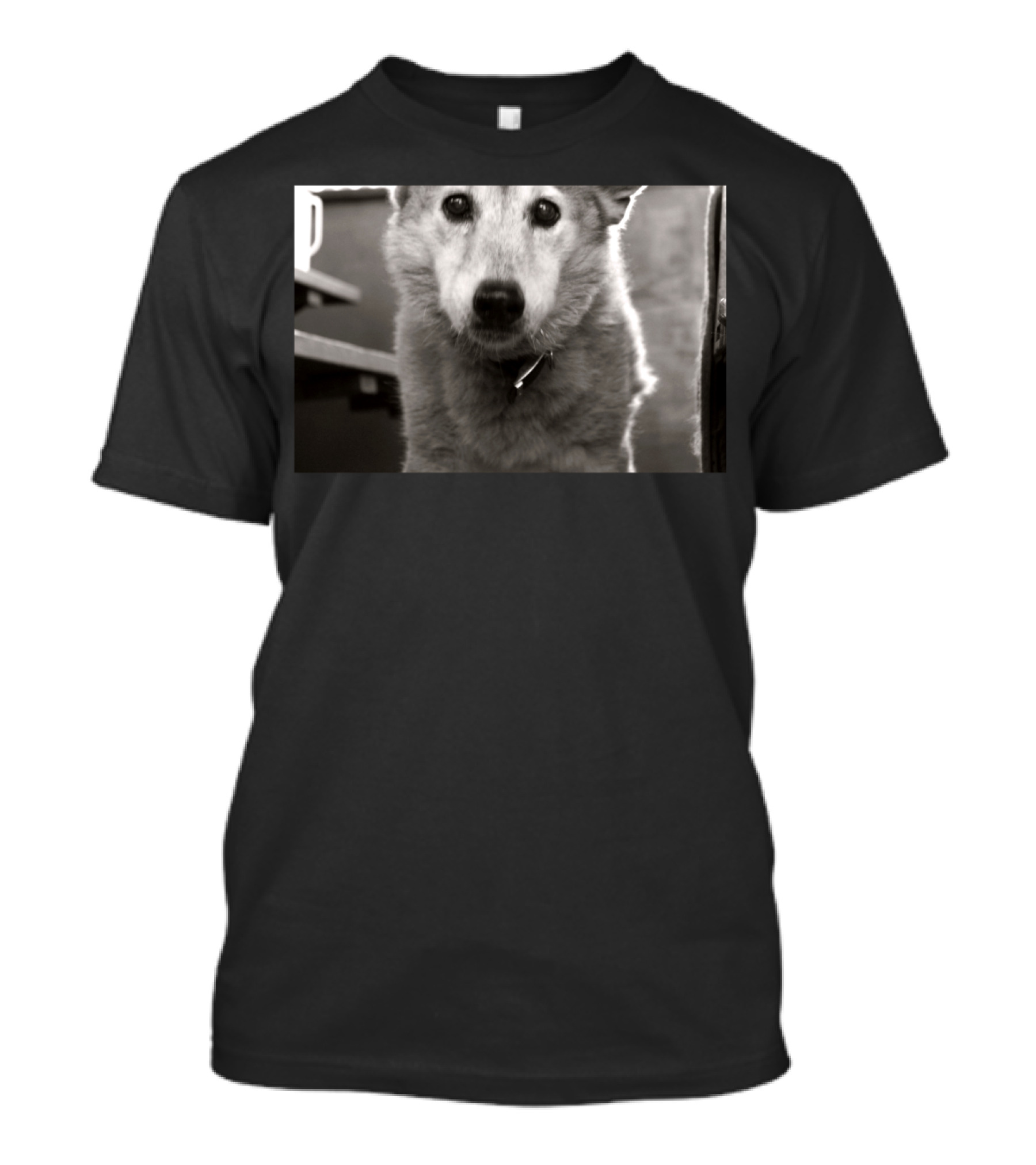 Puppy Eyes By In Puppy Dog Black And White Photo T-Shirt