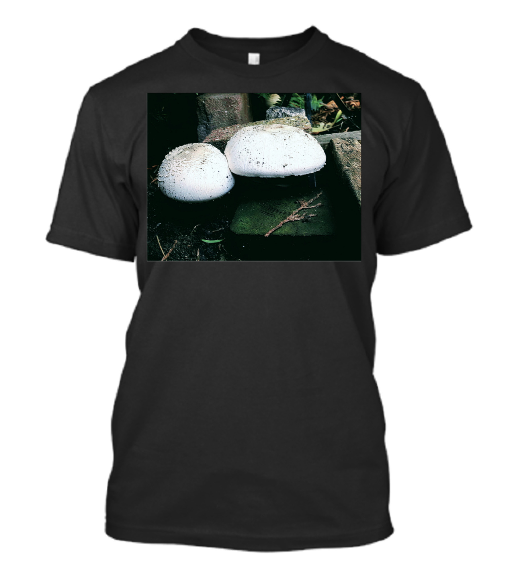 Champignons White Mushroom Duo In Nature Setting T-Shirt