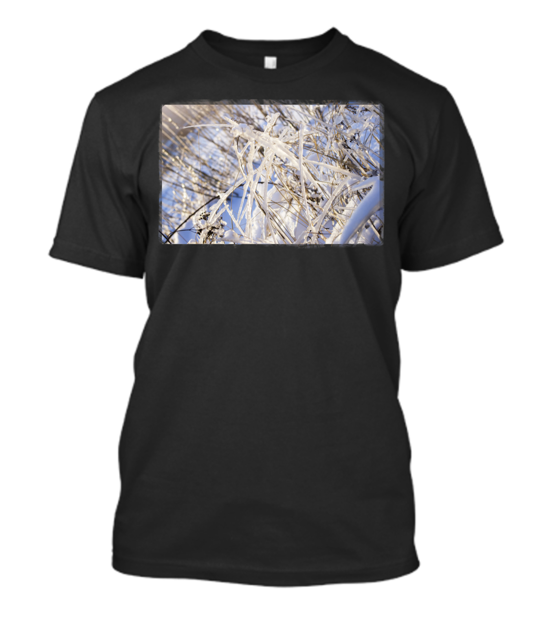 Winter Grass Snowy Frozen Branches T-Shirt