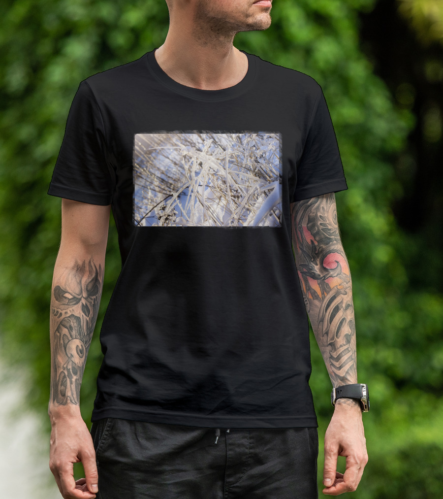 Winter Grass Snowy Frozen Branches T-Shirt