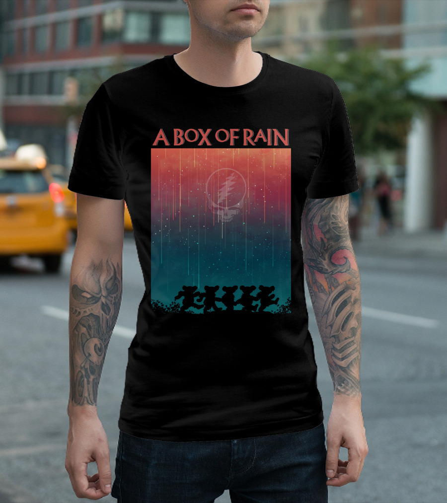 A Box of Rain Grateful Dead Dancing Bears Steal Your Face T-Shirt
