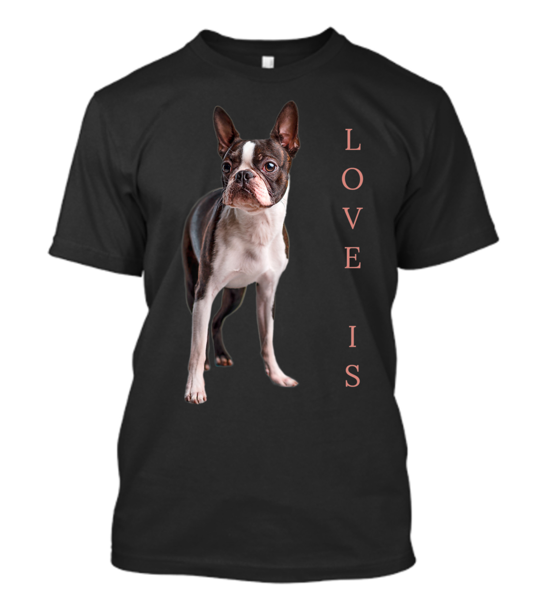Boston Terrier Love Is Women Men Kids Dog T-Shirt