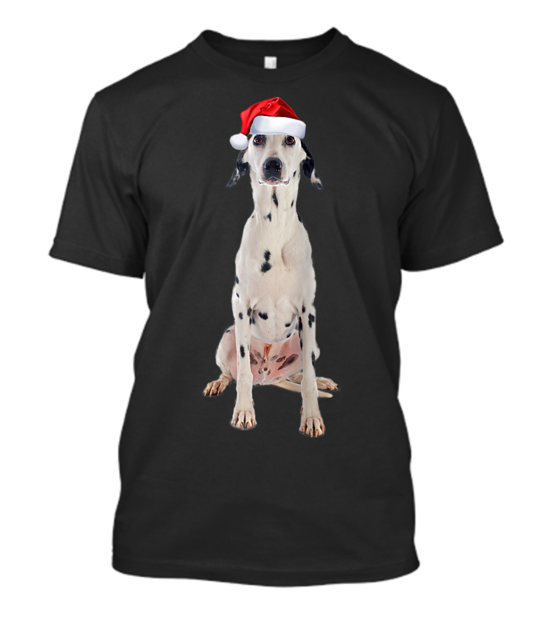 Cute Dalmatian Wearing Santa Hat Holiday Image T-Shirt