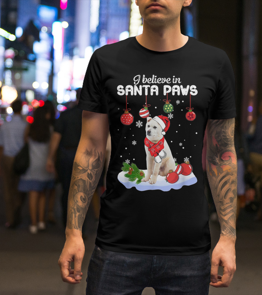 I Believe In Santa Paws Jindo Claus Dog Christmas Decor T-Shirt