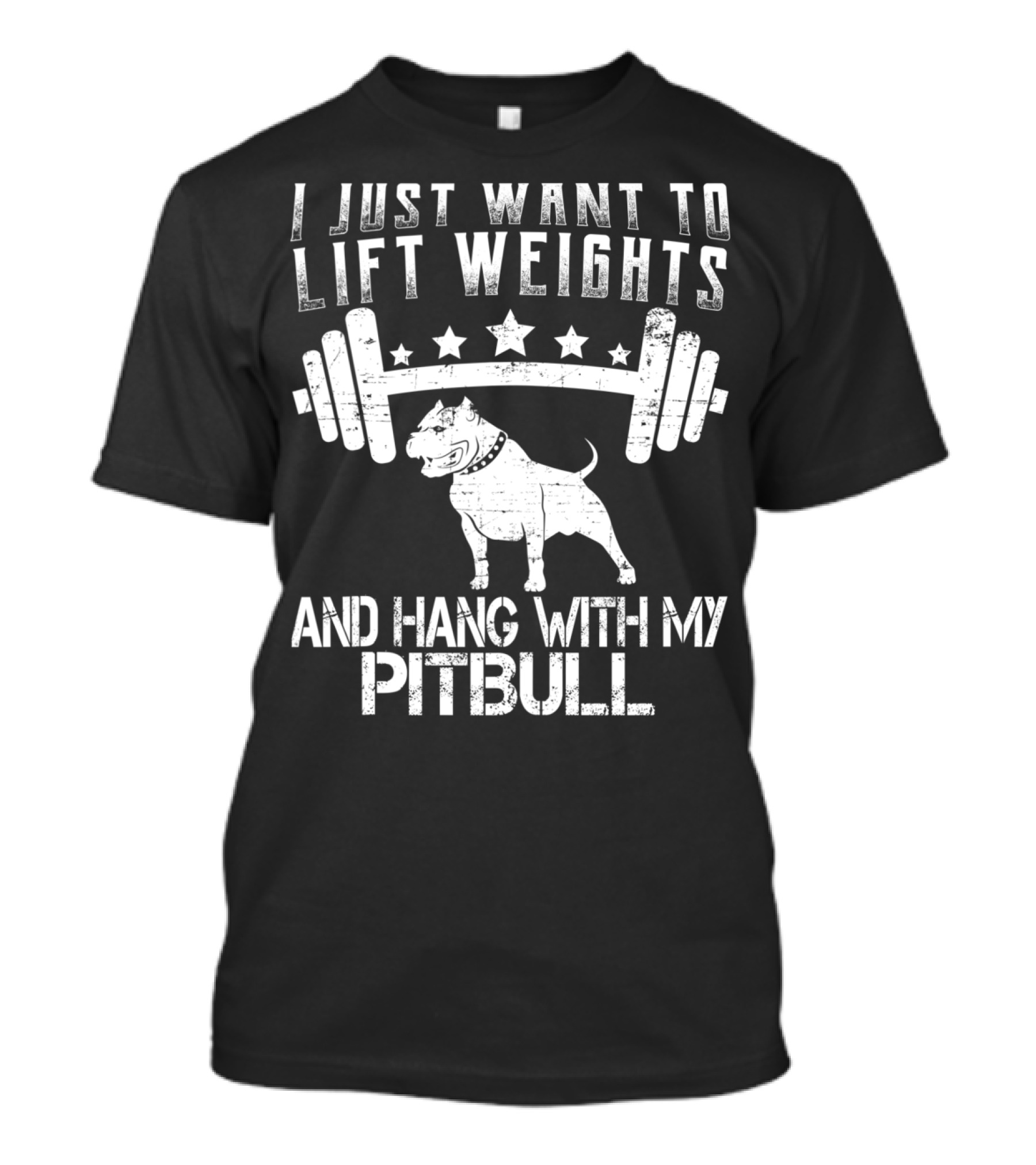 I JUST WANT TO LIFT WEIGHTS AND HANG WITH MY PITBULL T-Shirt