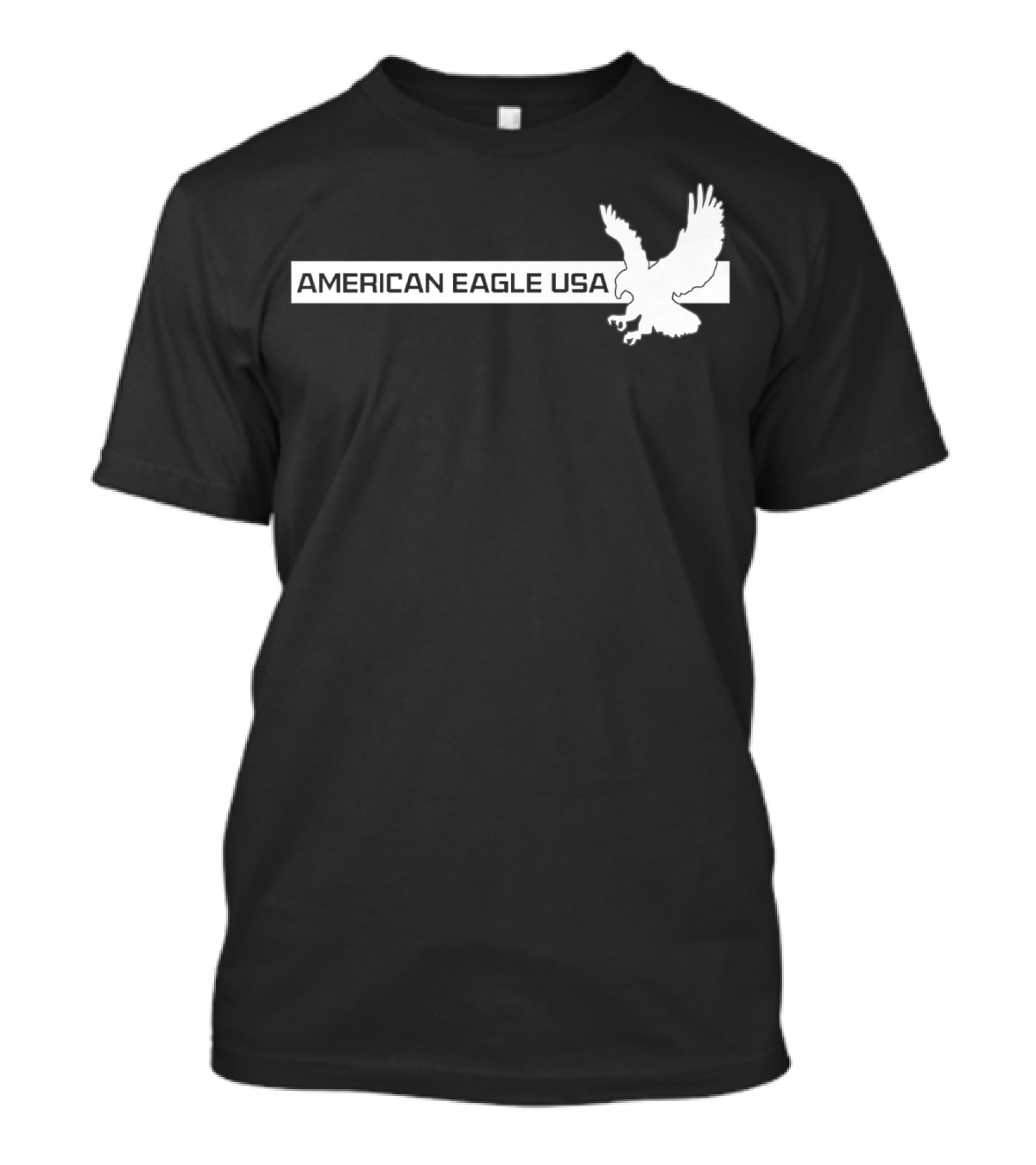 American Eagle USA Flight Icon T-Shirt