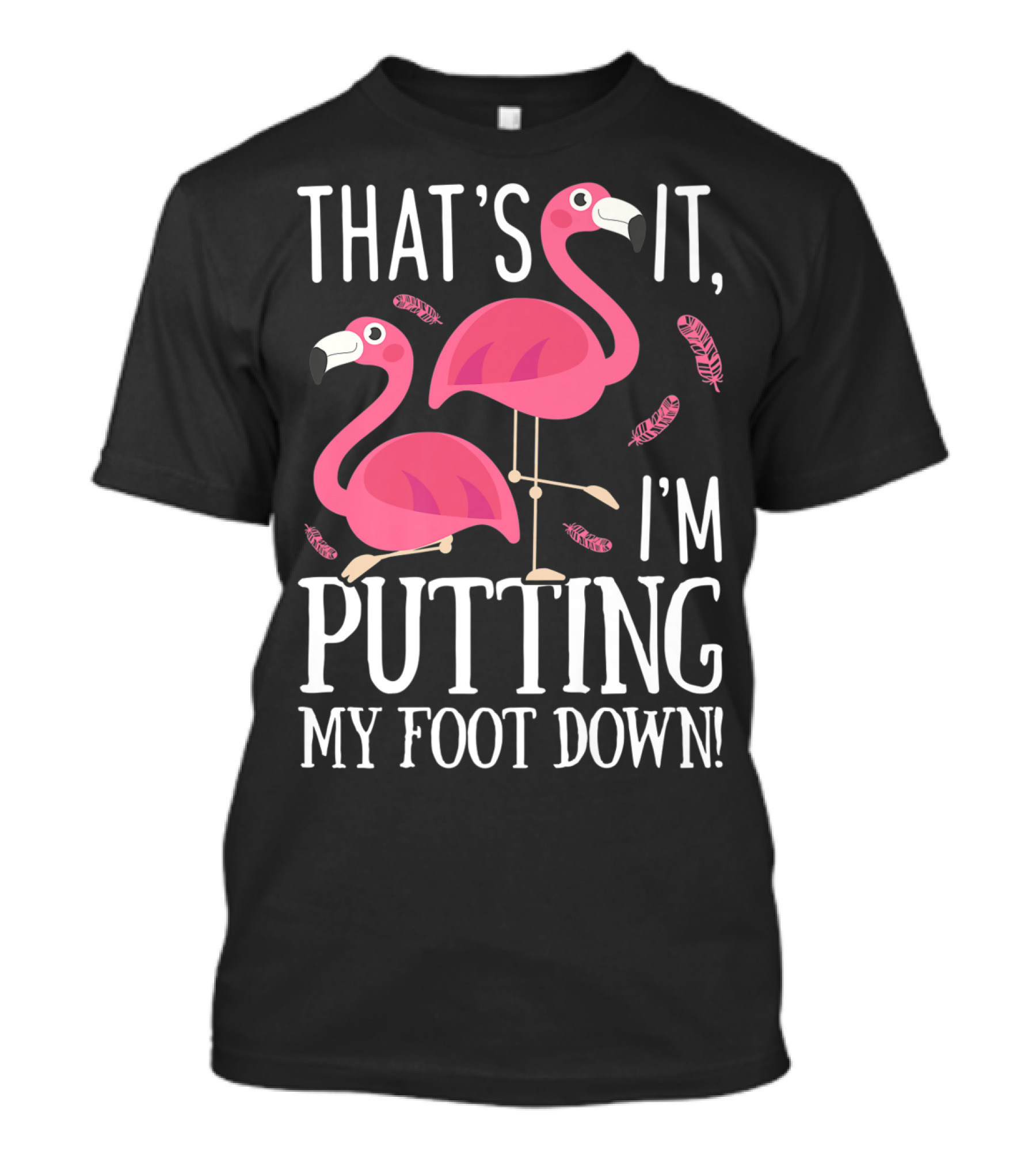 That's It I'm Putting My Foot Down Pink Flamingo Pair With Feather Details T-Shirt