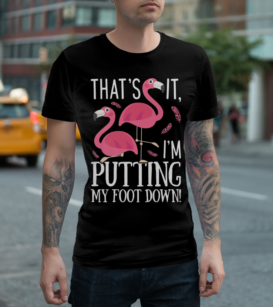 That's It I'm Putting My Foot Down Pink Flamingo Pair With Feather Details T-Shirt