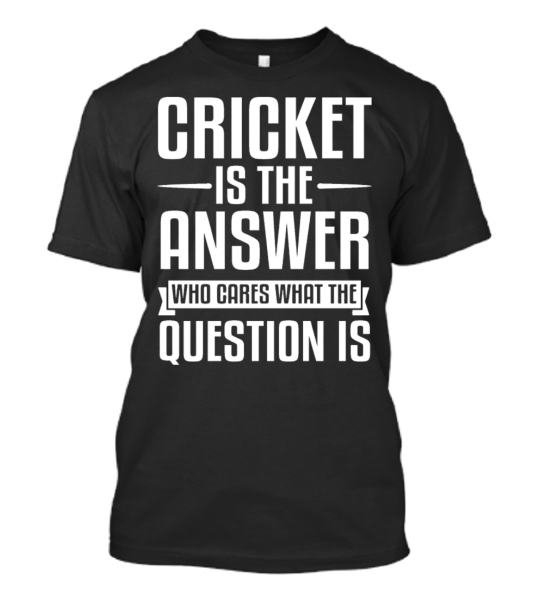 CRICKET IS THE ANSWER WHO CARES WHAT THE QUESTION IS T-Shirt