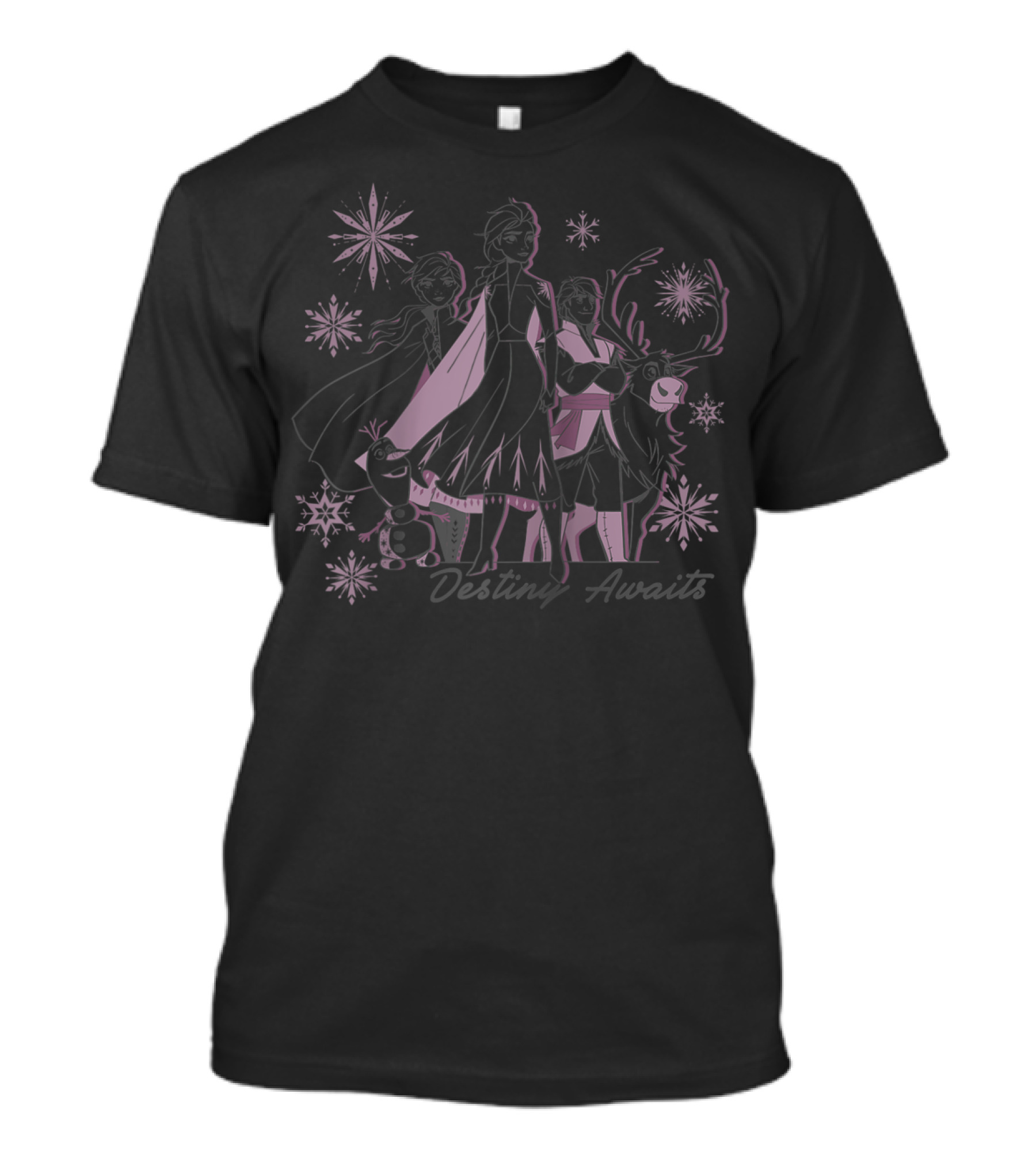 Destiny Awaits Disney Frozen 2 Group Shot With Snowflakes T-Shirt