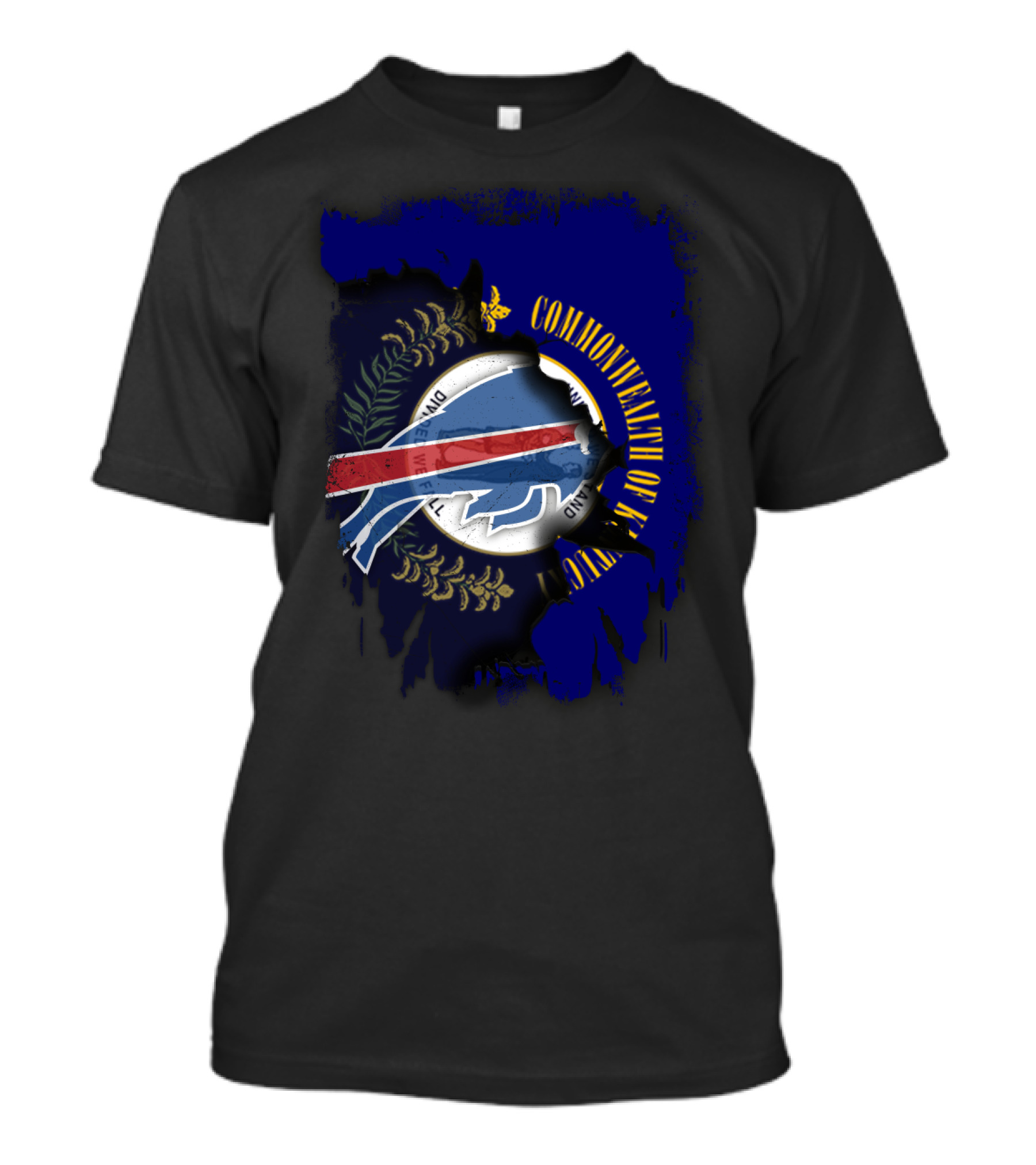 Commonwealth Of Kentucky Buffalo Collaboration T-Shirt