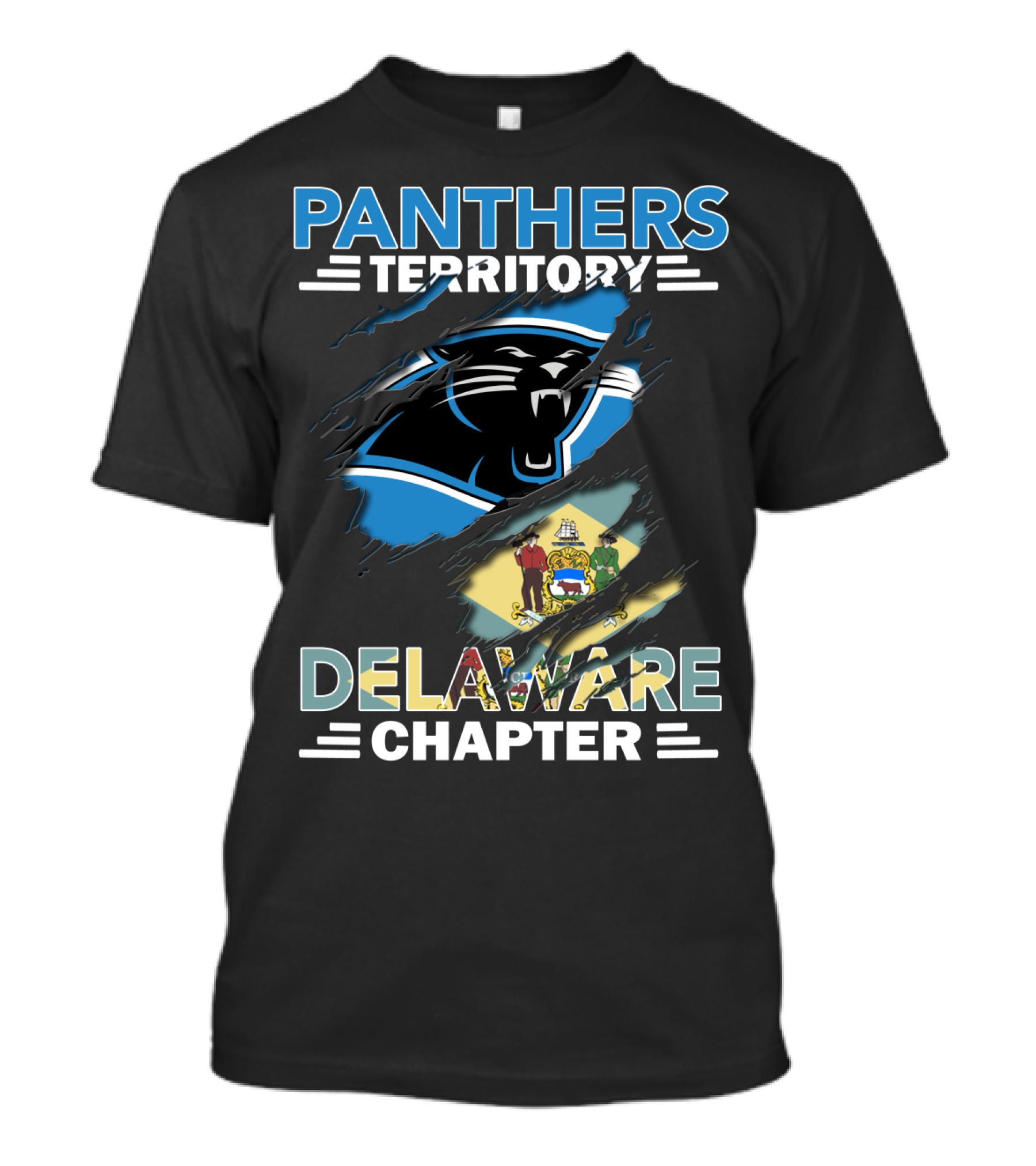Panthers Territory Delaware Chapter With Carolina Panthers Logo And Delaware State Flag T-Shirt