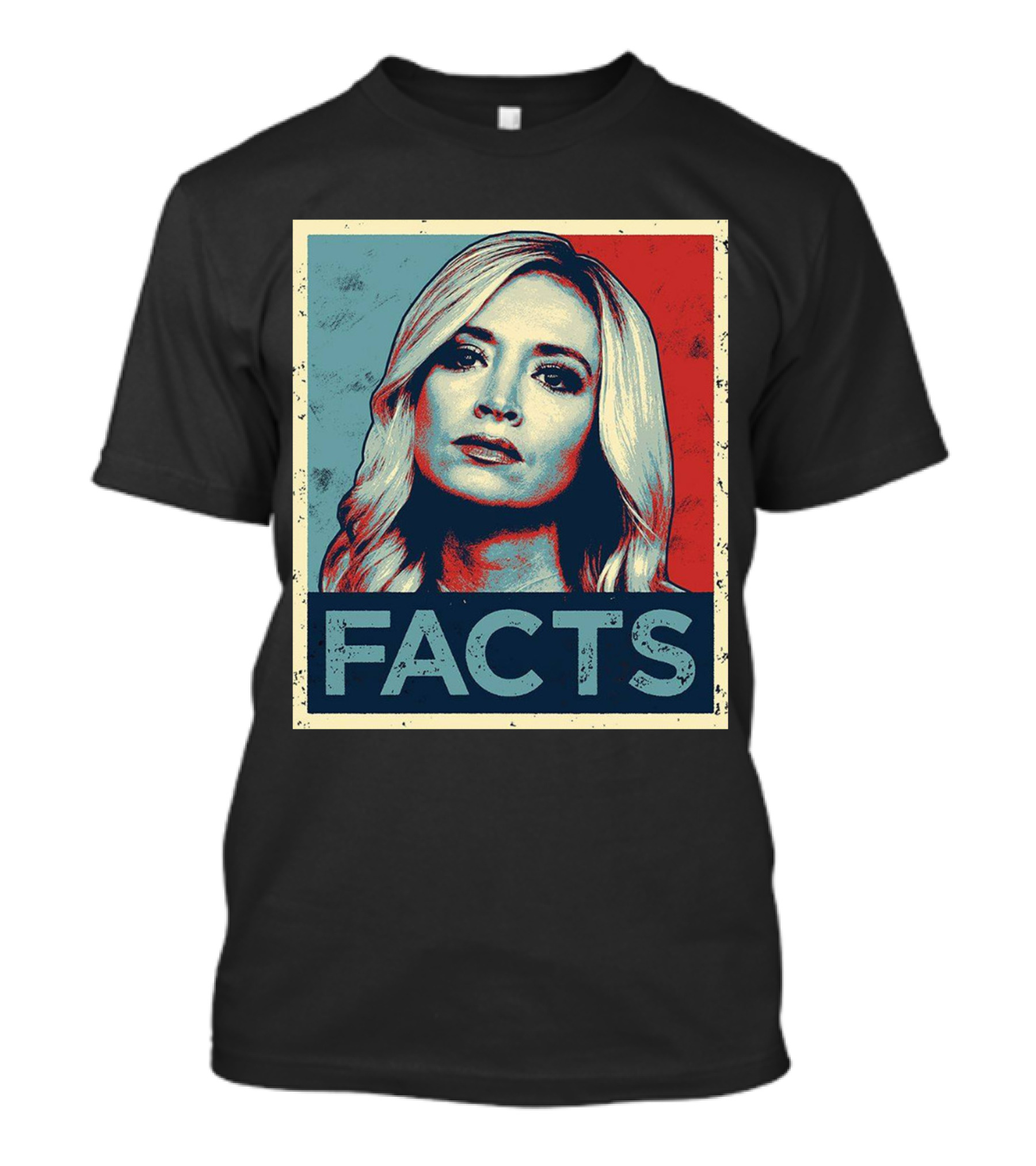 Kayleigh Facts Poster Style Presentation T-Shirt