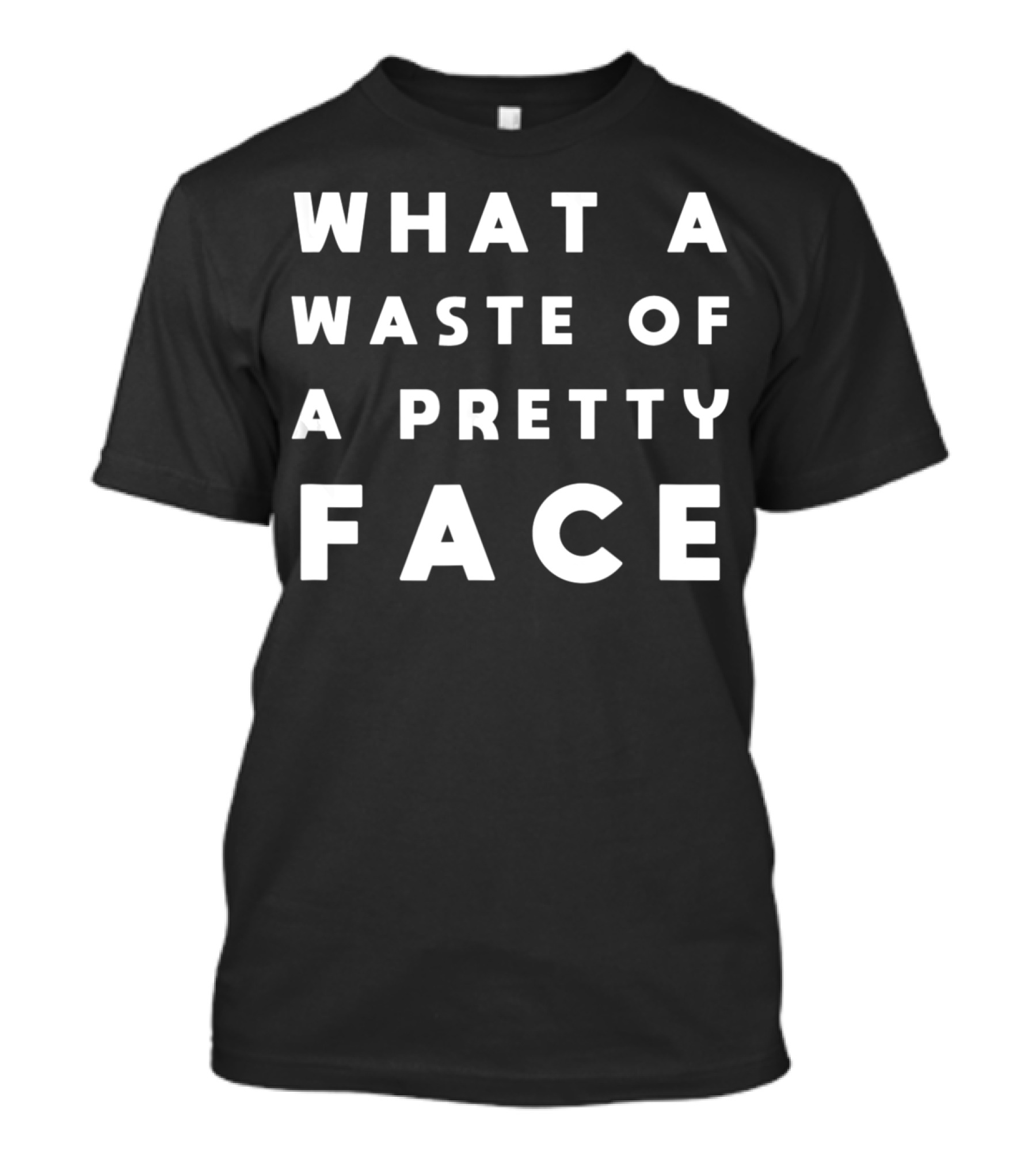 What A Waste Of A Pretty Face T-Shirt