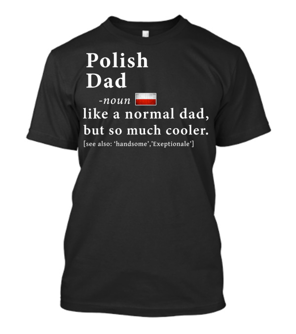 Polish Dad Noun Like A Normal Dad But So Much Cooler Handsome Exceptionale Polish Flag T-Shirt