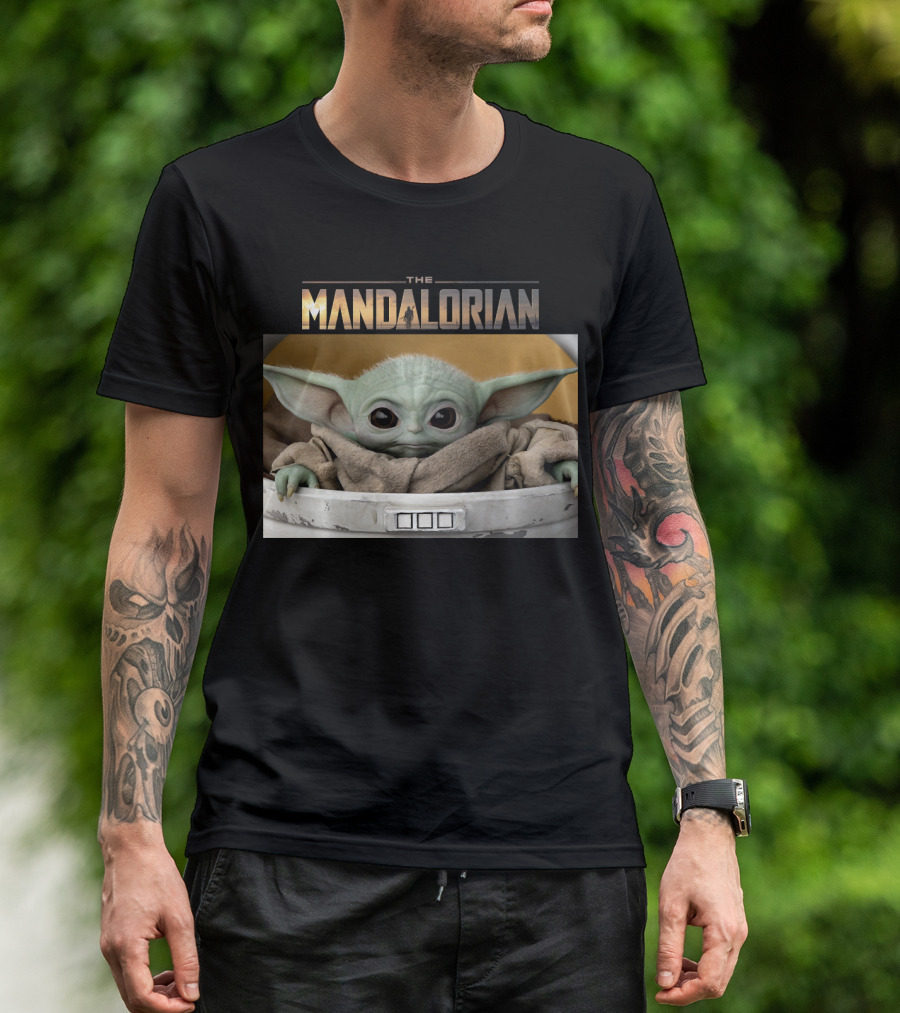 The Mandalorian The Child Baby Yoda In Pod T-Shirt