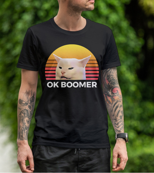 Cat Ok Boomer Retro Sunset T-Shirt