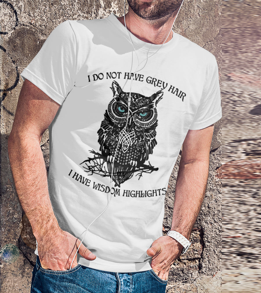 I Do Not Have Grey Hair Owl I Have Wisdom Highlights T-Shirt