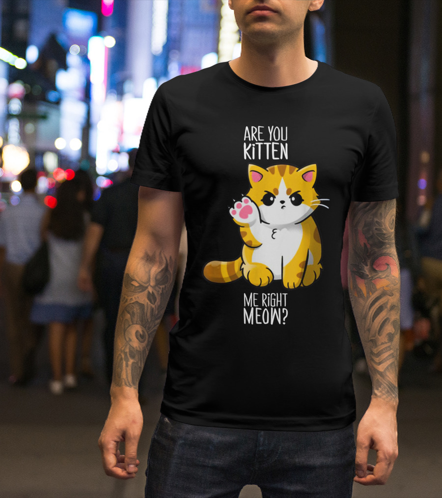 Are You Kitten Me Right Meow Cute Kitty T-Shirt